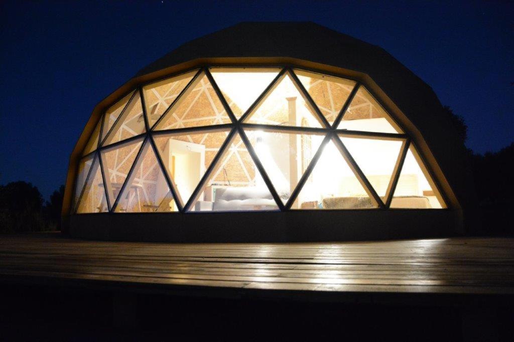 Photo 24