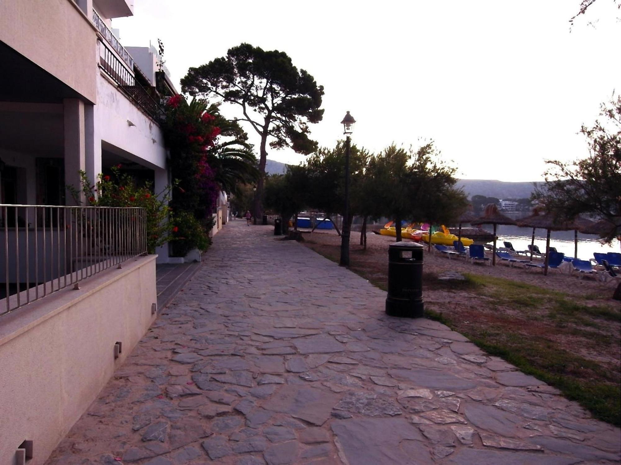 Photo 14
