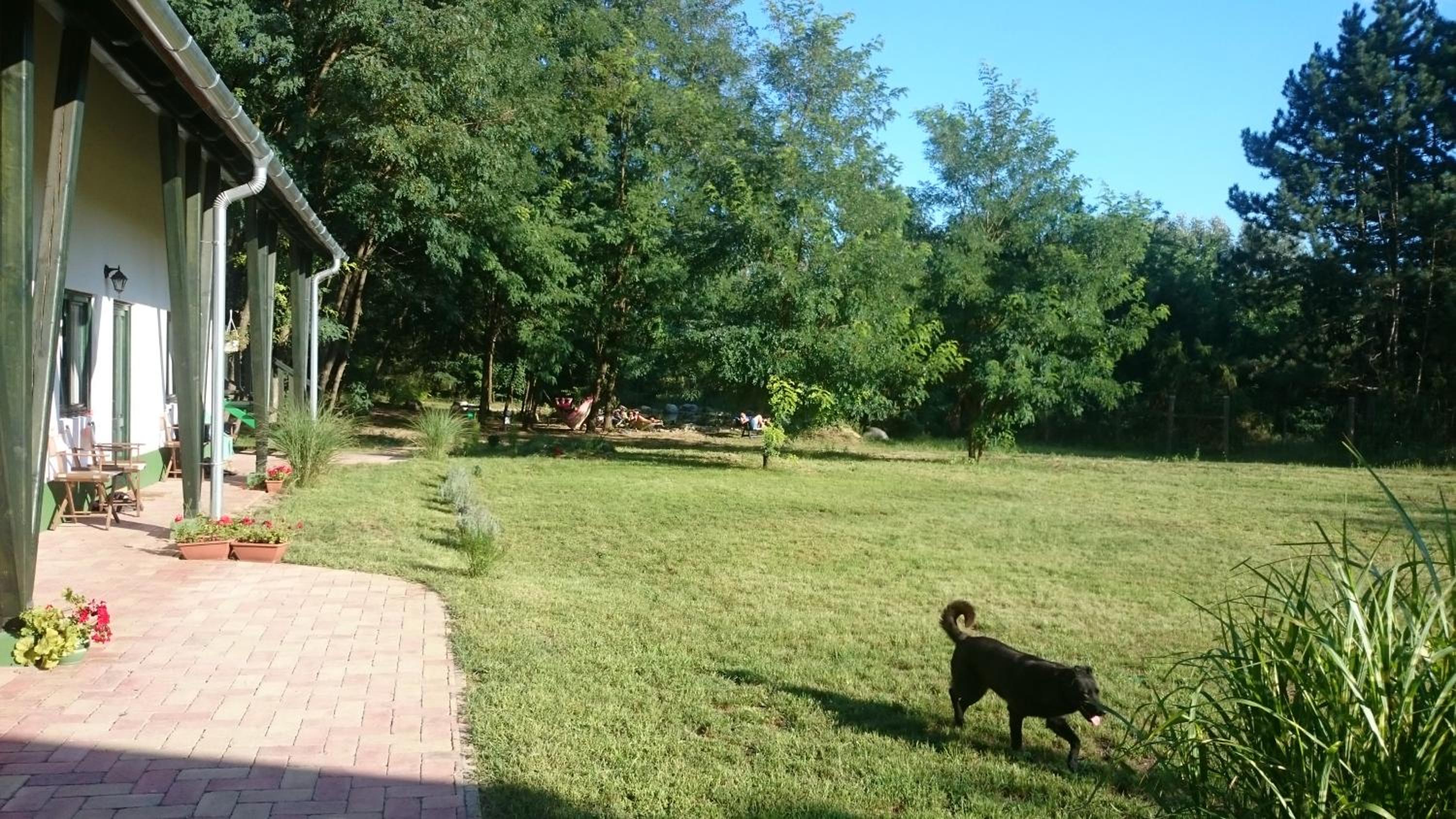 Photo 27