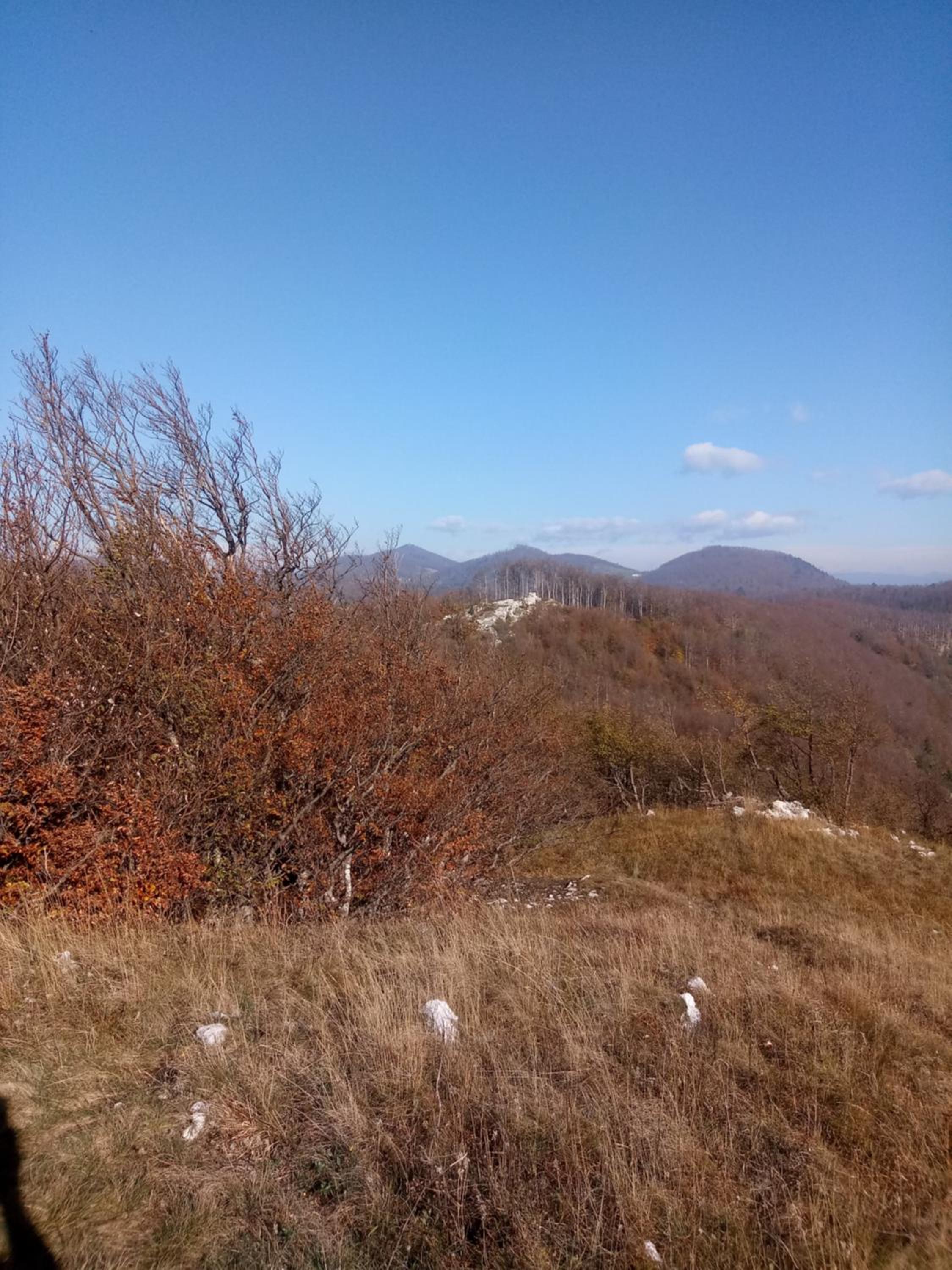 Photo 47