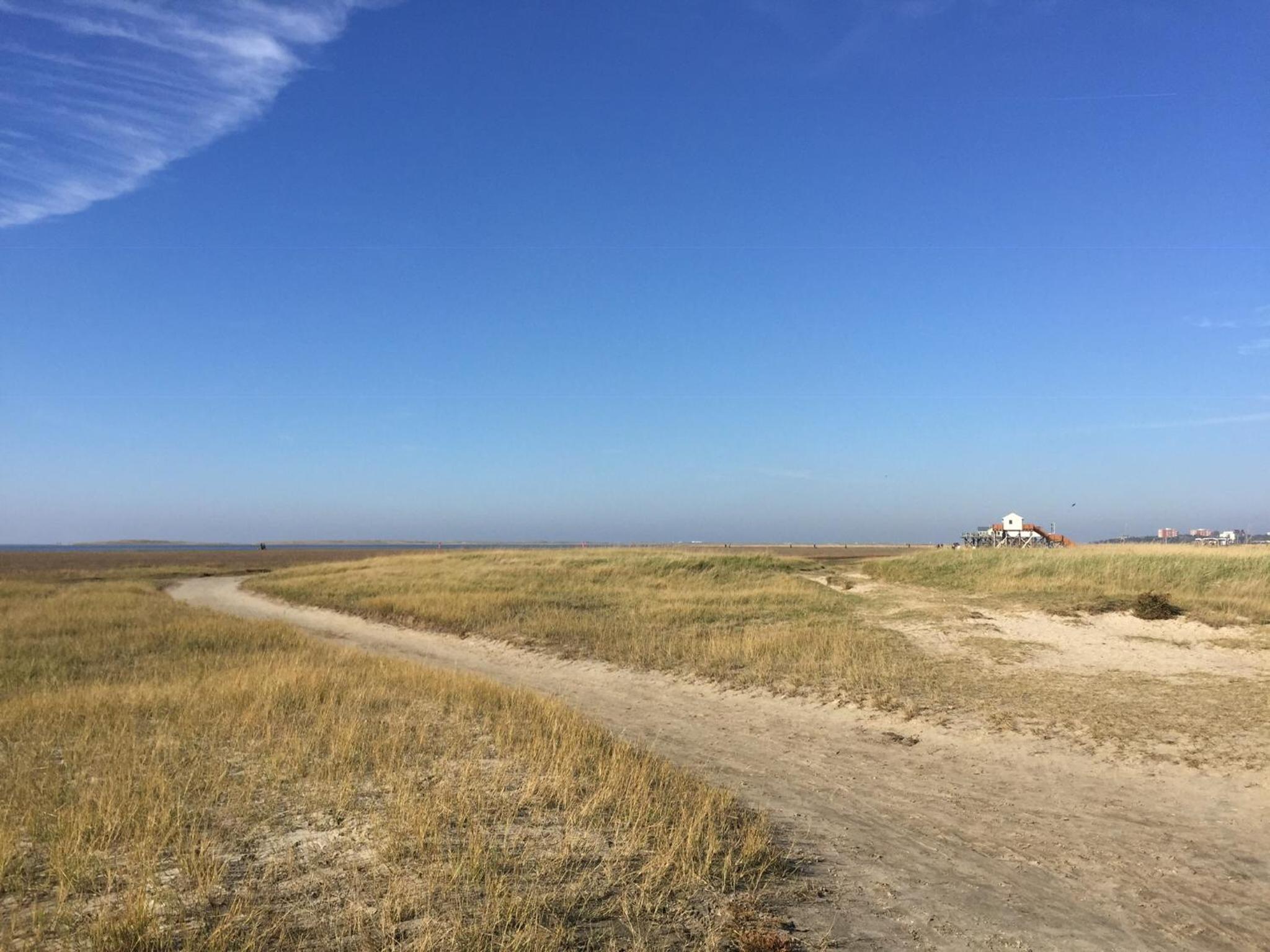 Ferienwohnung Wieben Sankt Peter-Ording view 5