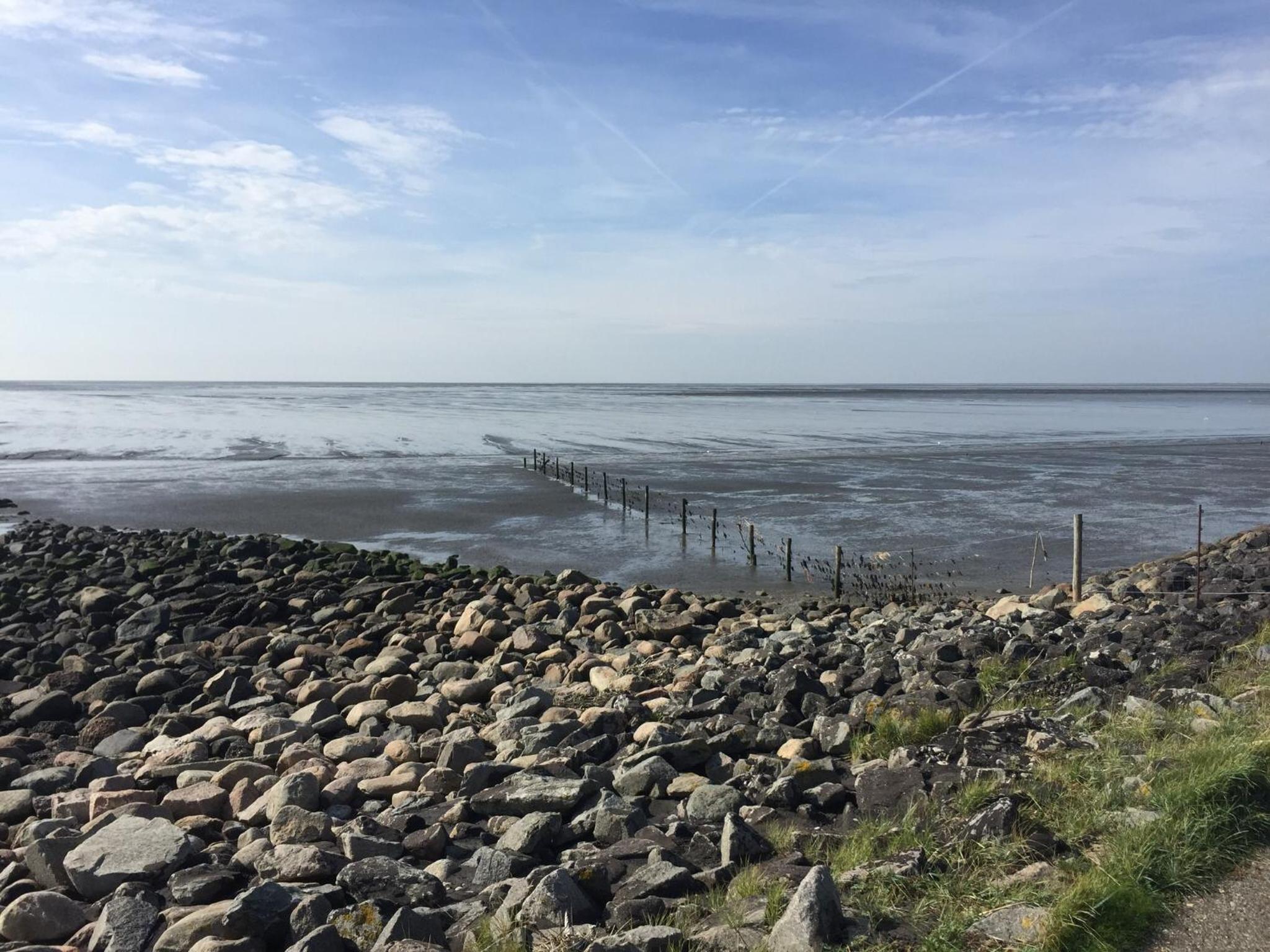 Ferienwohnung Wieben Sankt Peter-Ording view 4