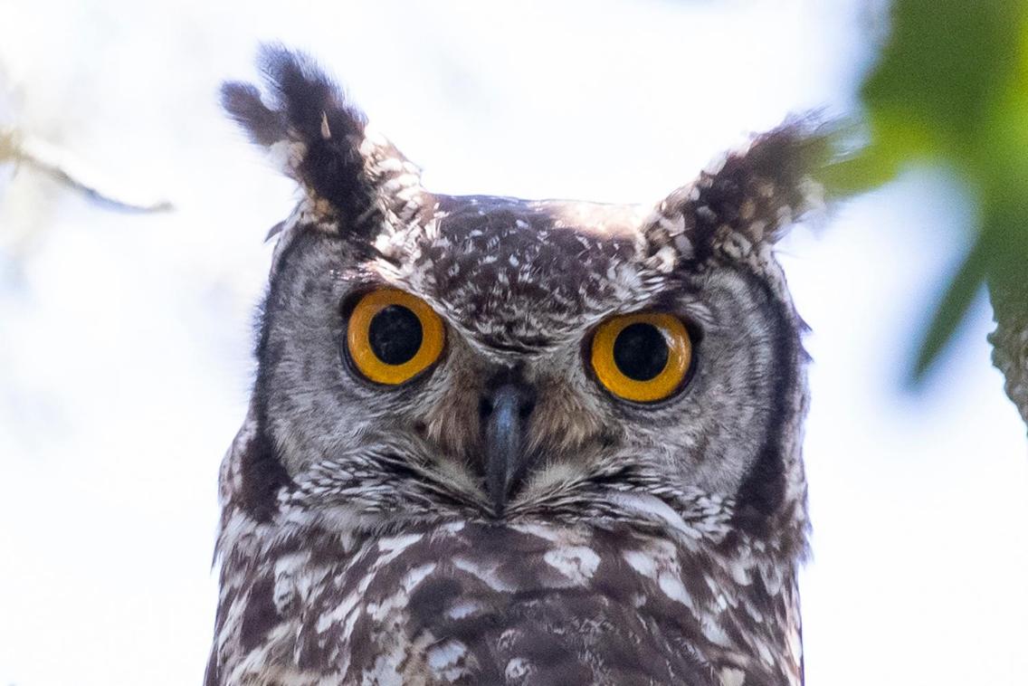 Woodbourne Resort