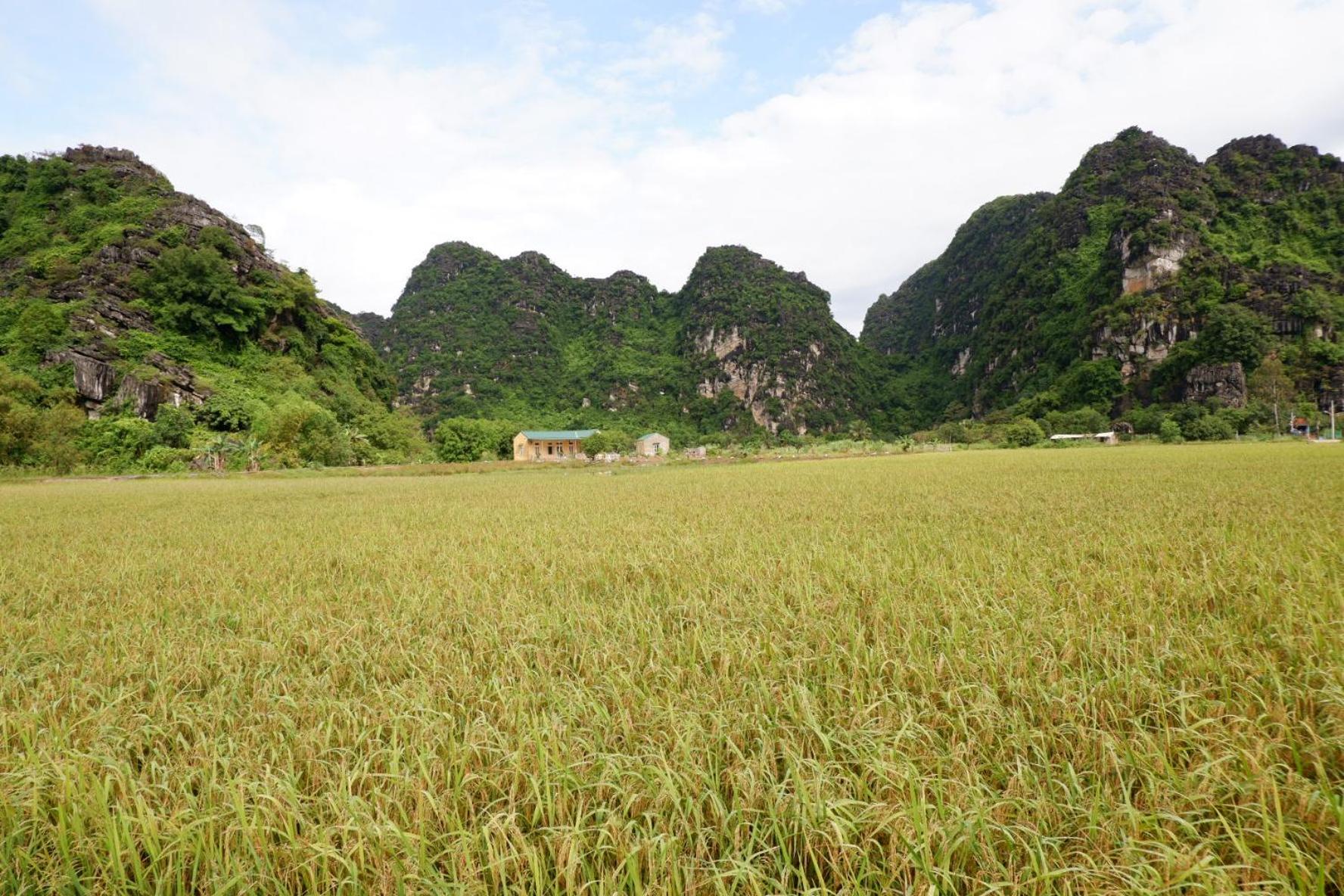 Yen Binh Homestay view 2