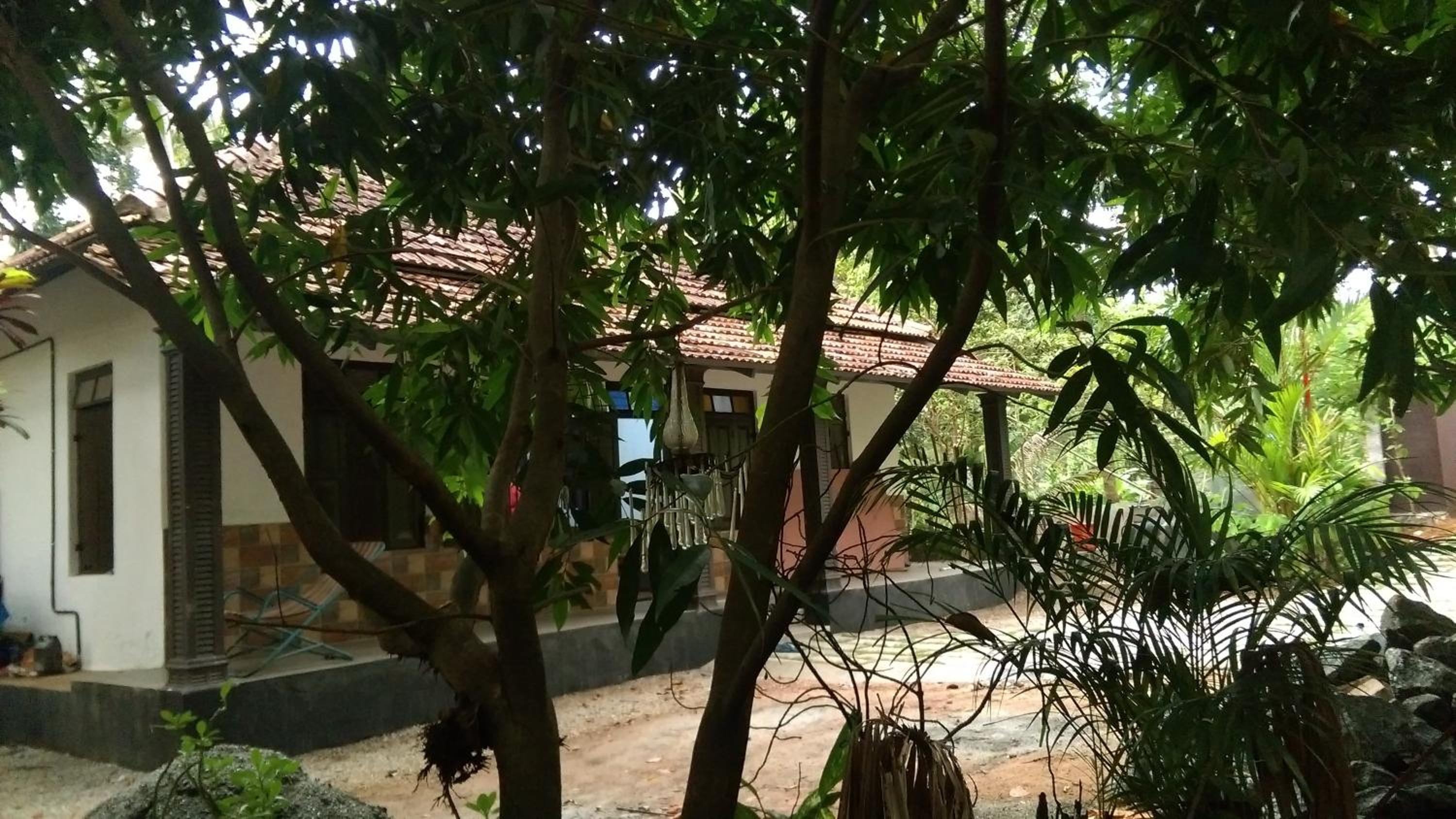 Photo 41