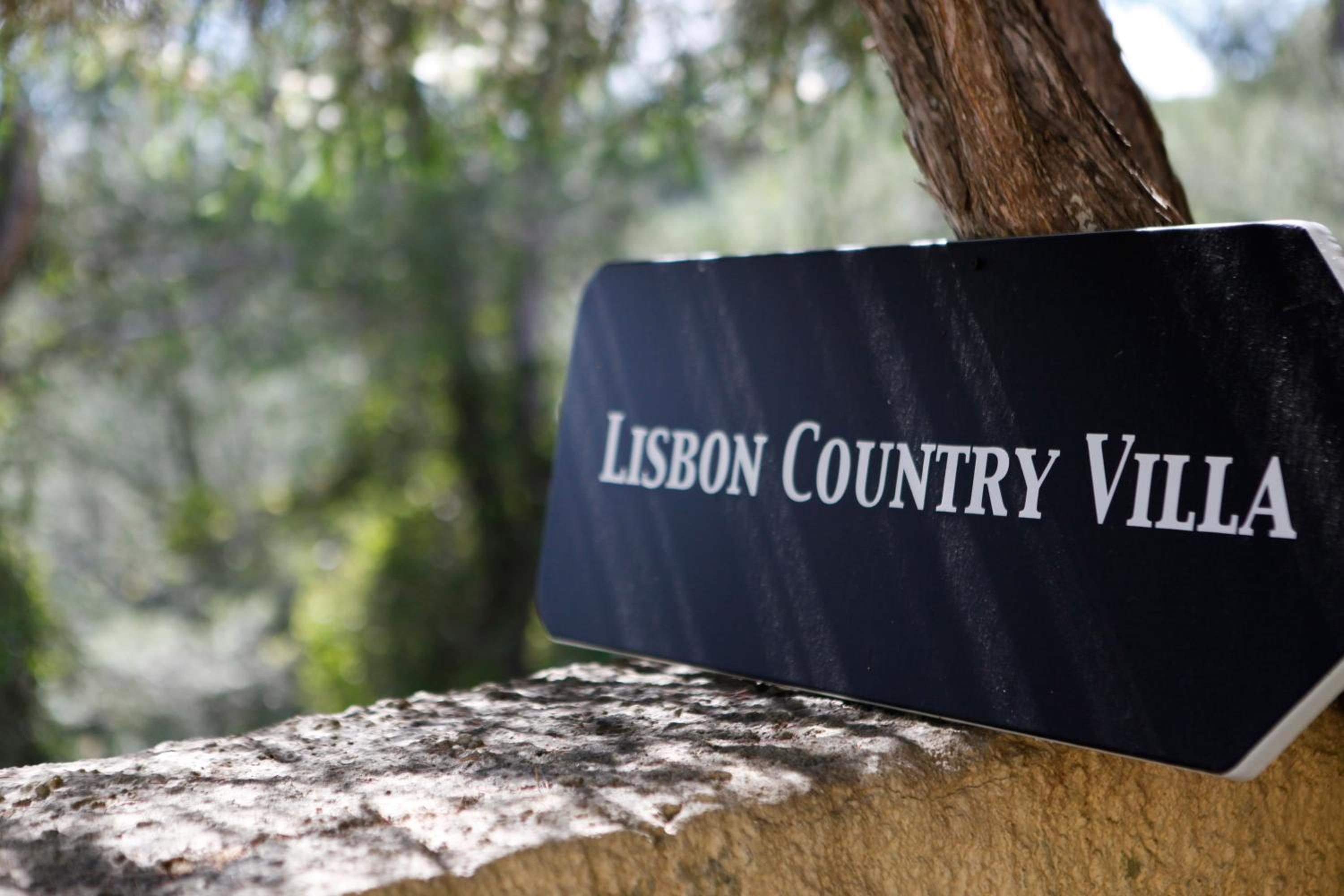 Lisbon Country Villa view 2