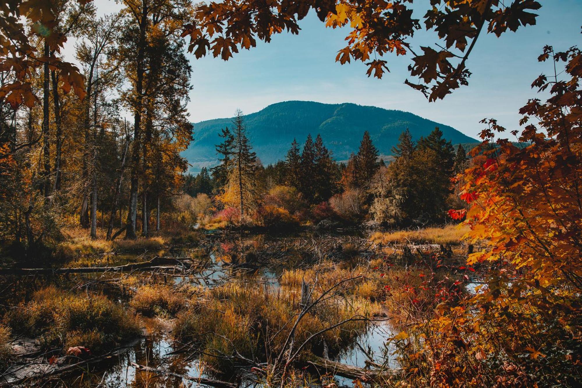 Cowichan River Lodge