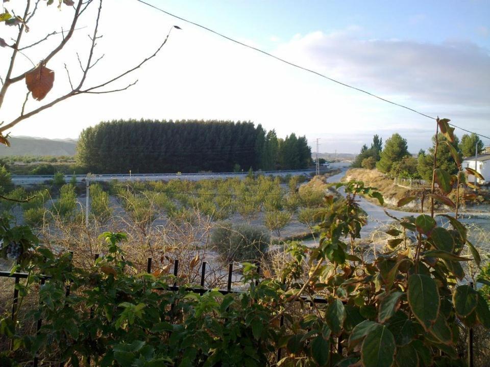 Photo 26