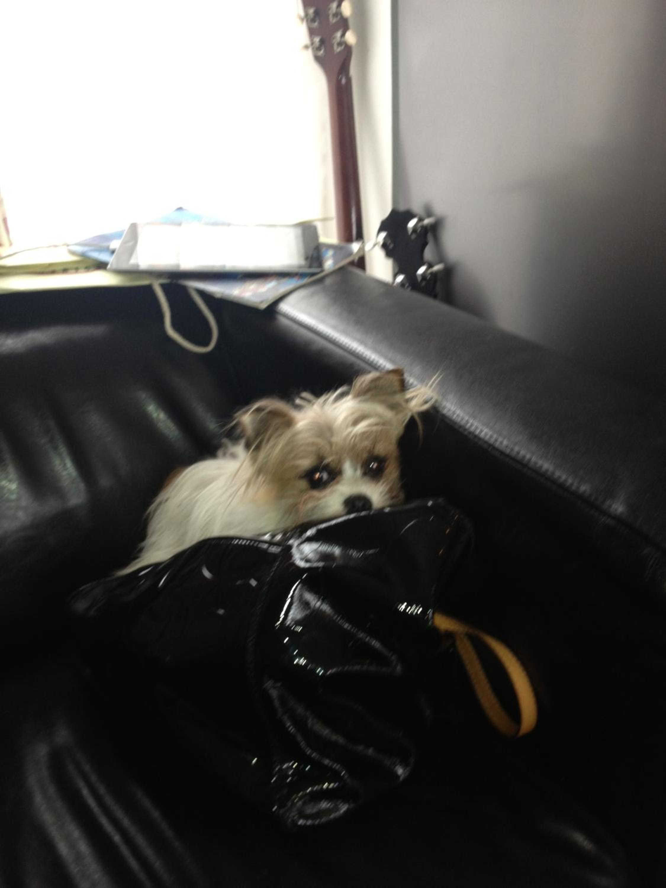 Photo 52