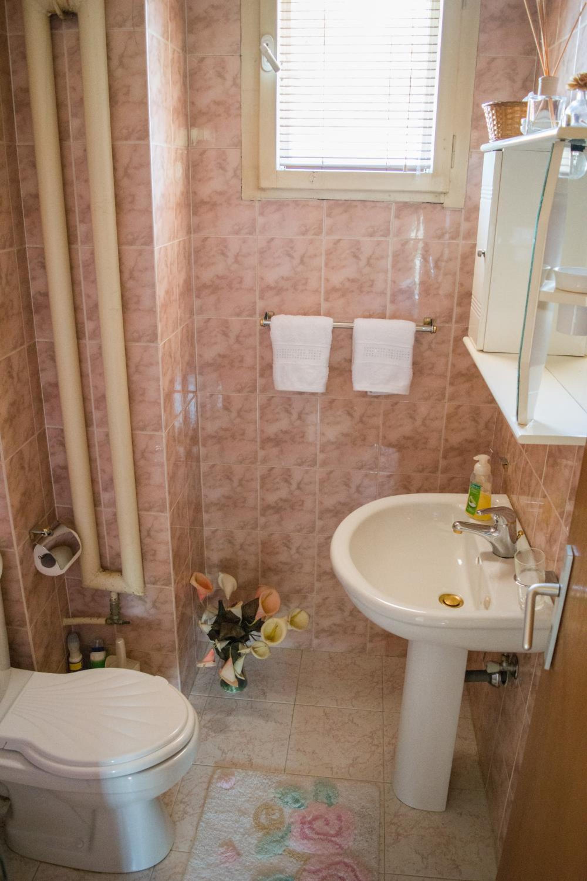 Cosy, quiet house with Vitosha view near Paradise