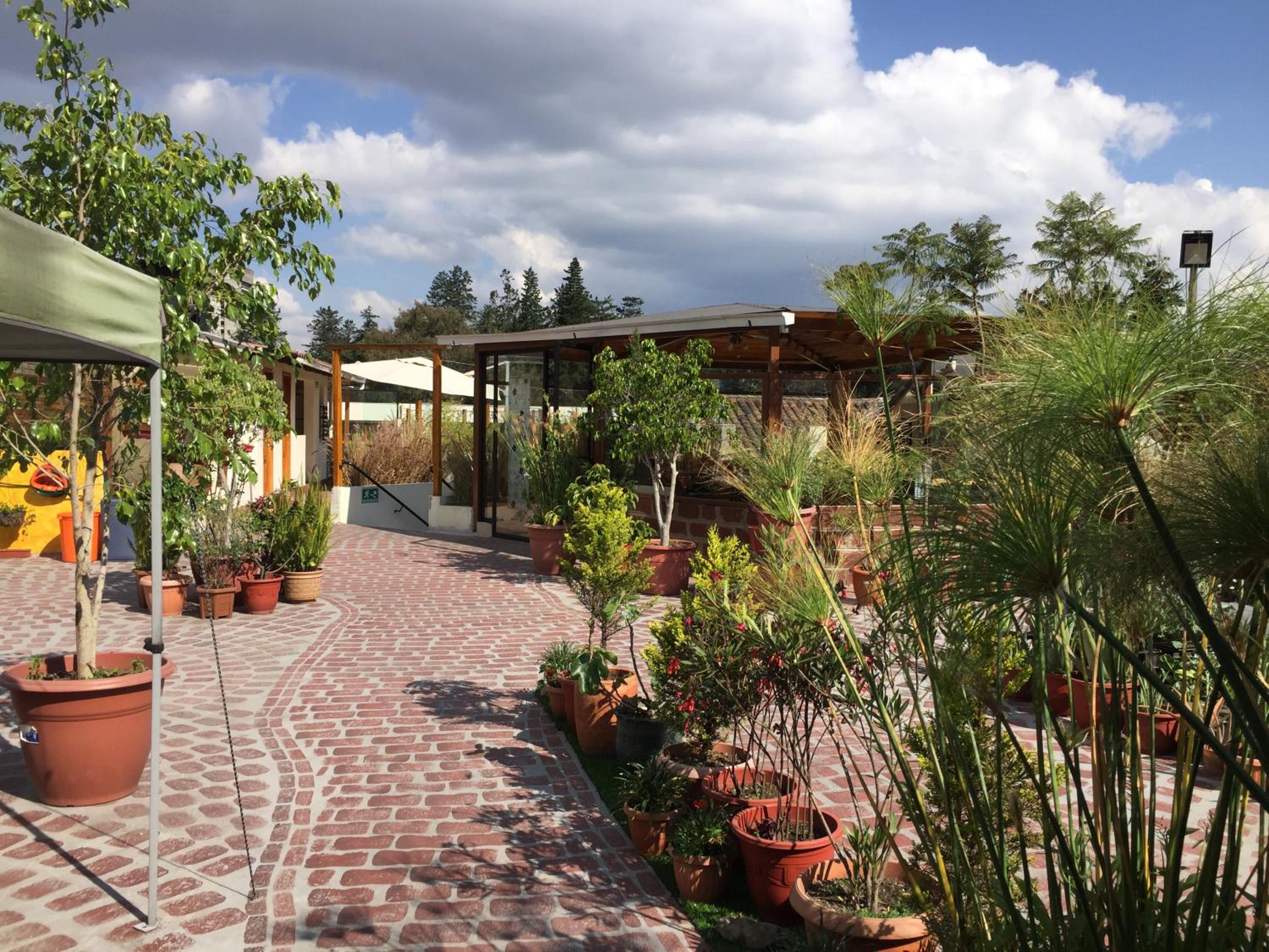 Quito Terrace