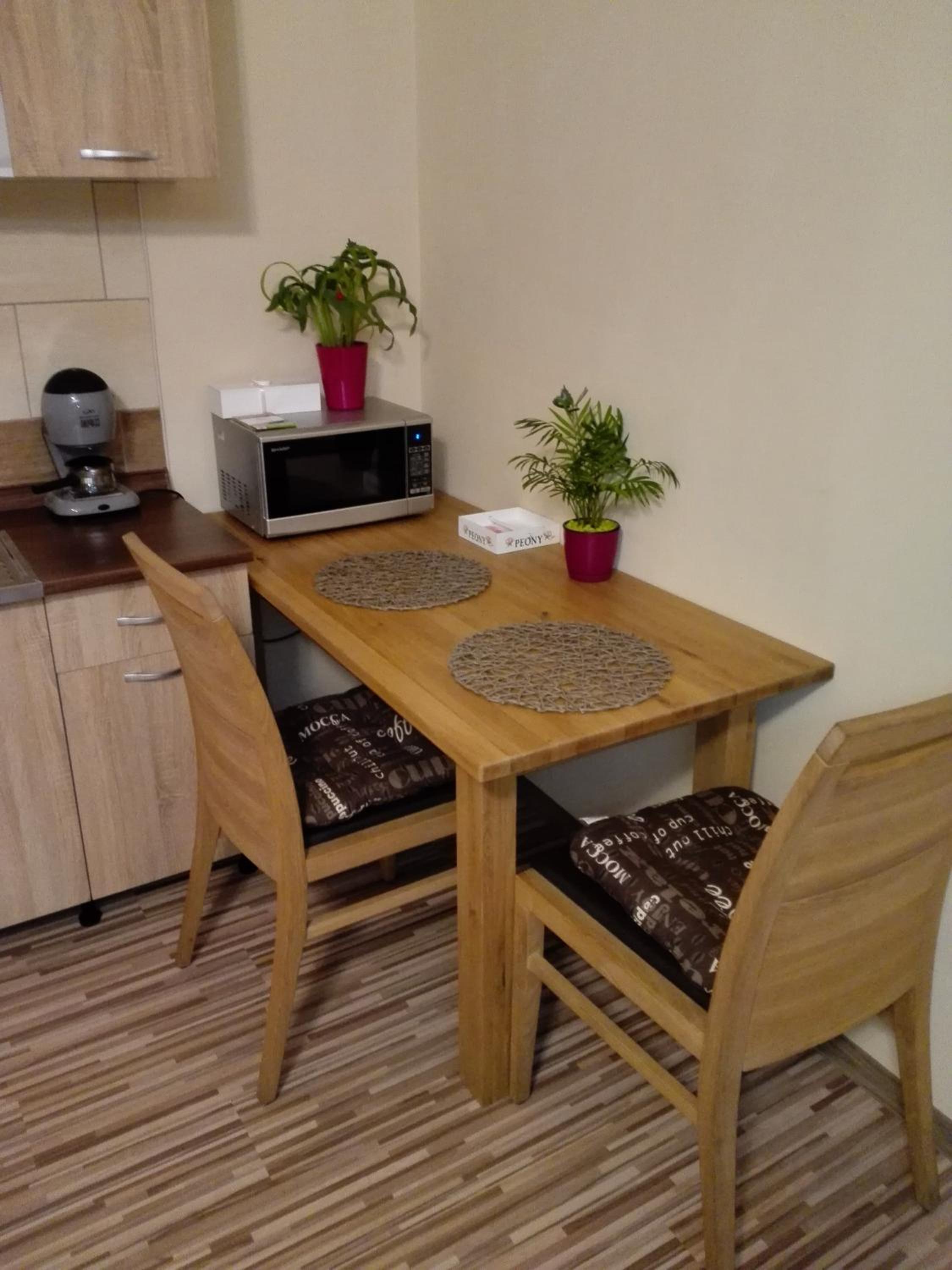 Kerékvár apartman Gyula view 3