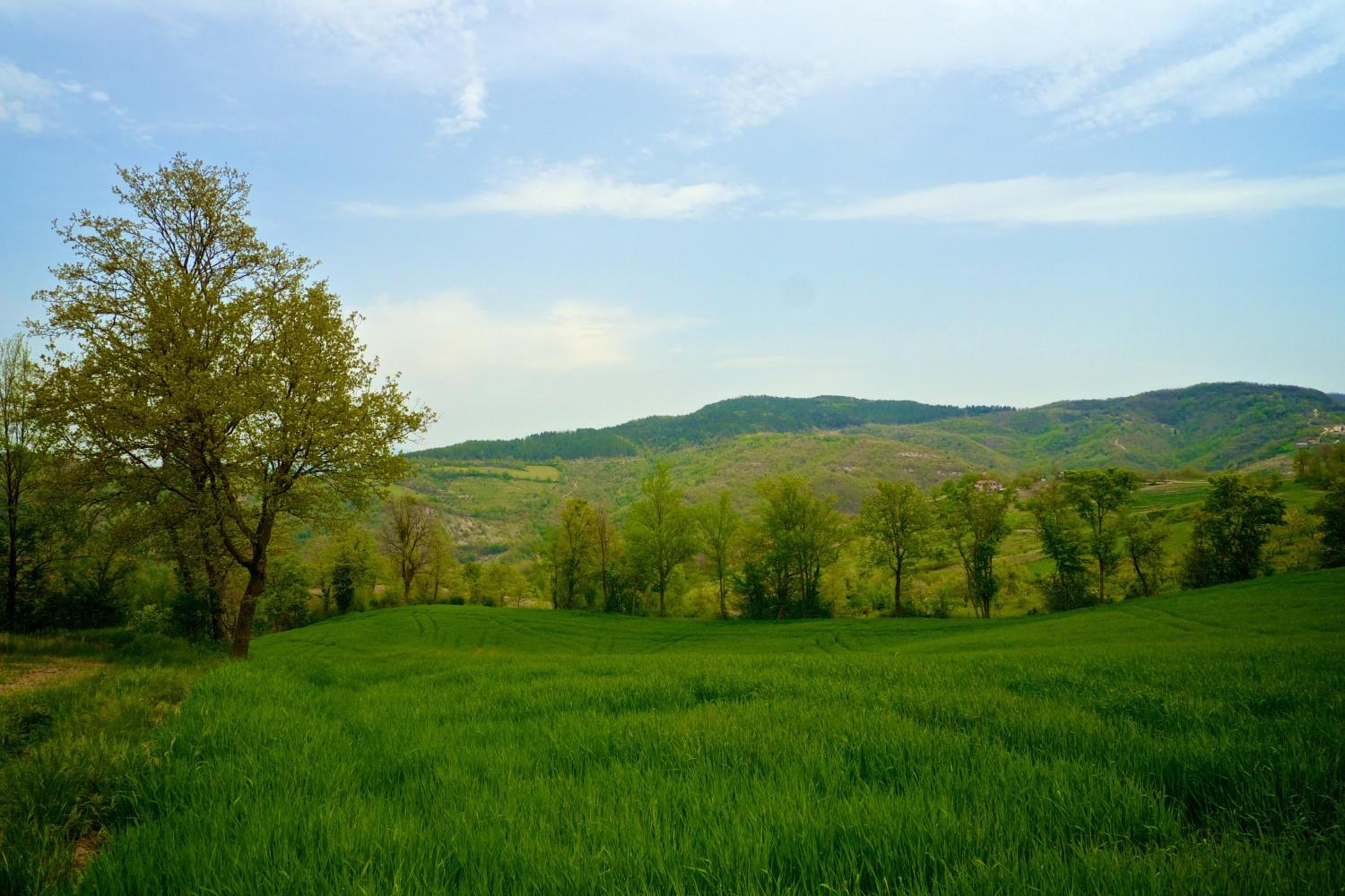 Agriturismo Montelovesco