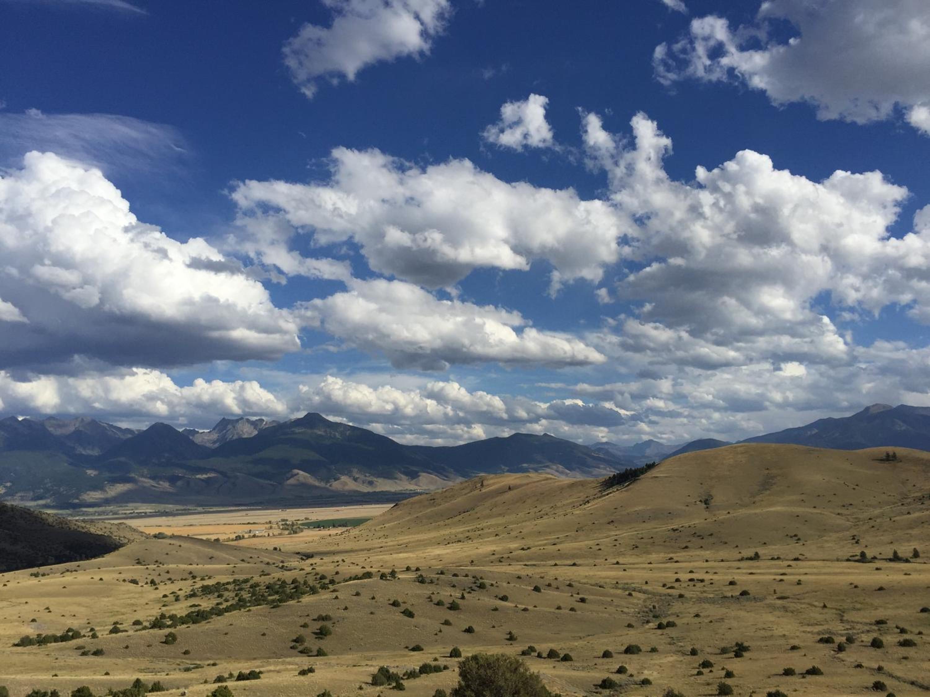Erik's Ranch
