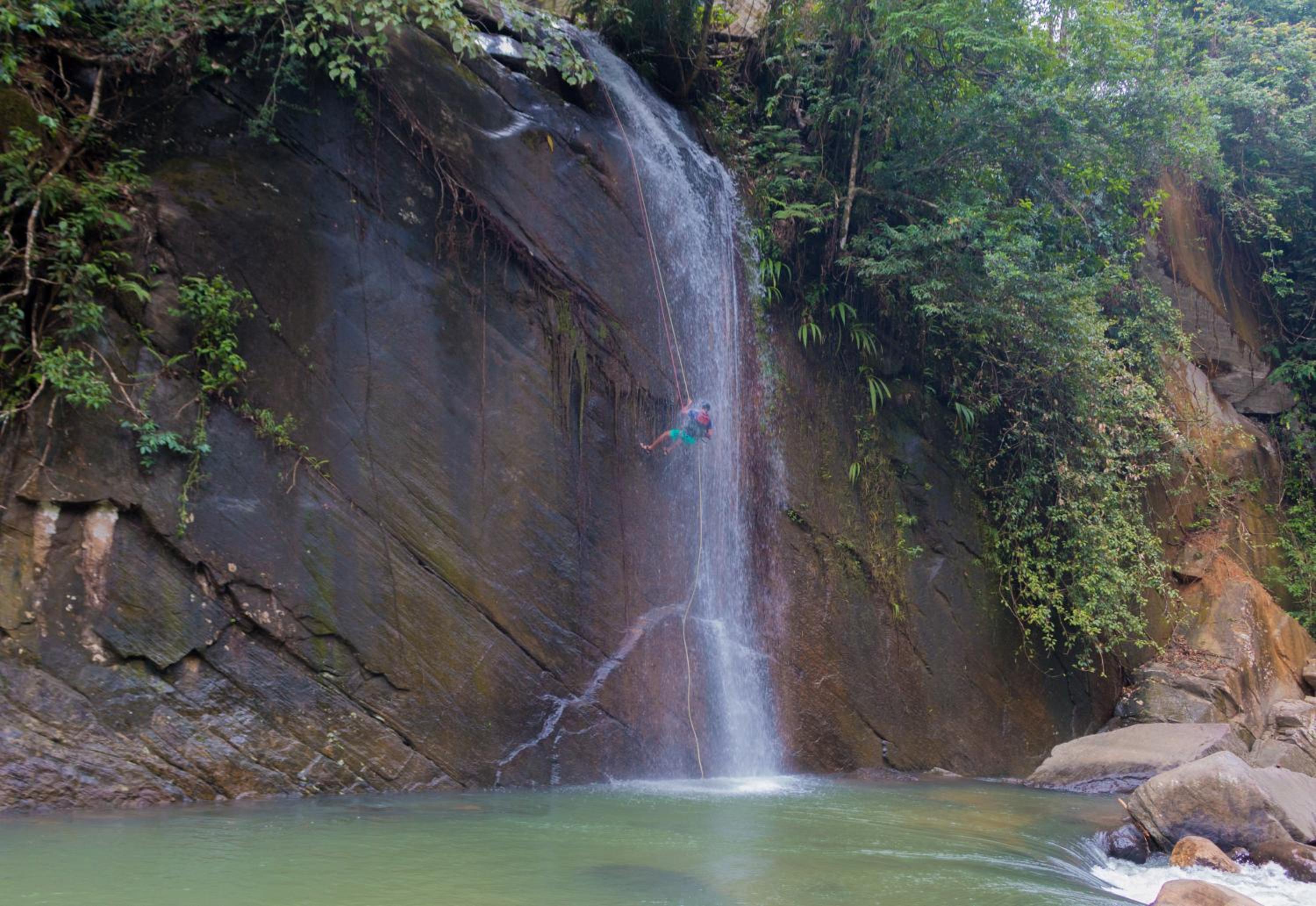 Jungle River view 2