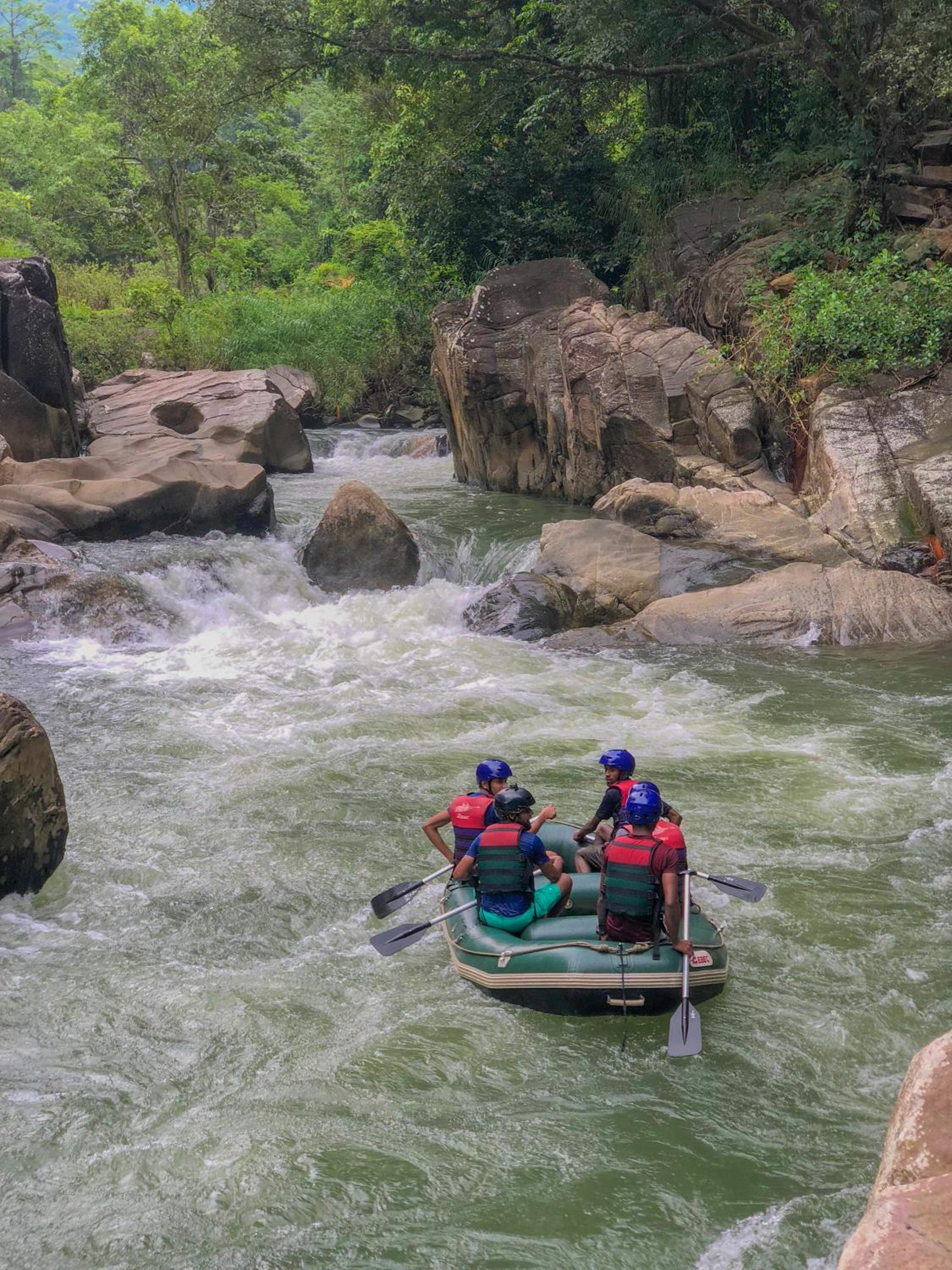 Jungle River view 3