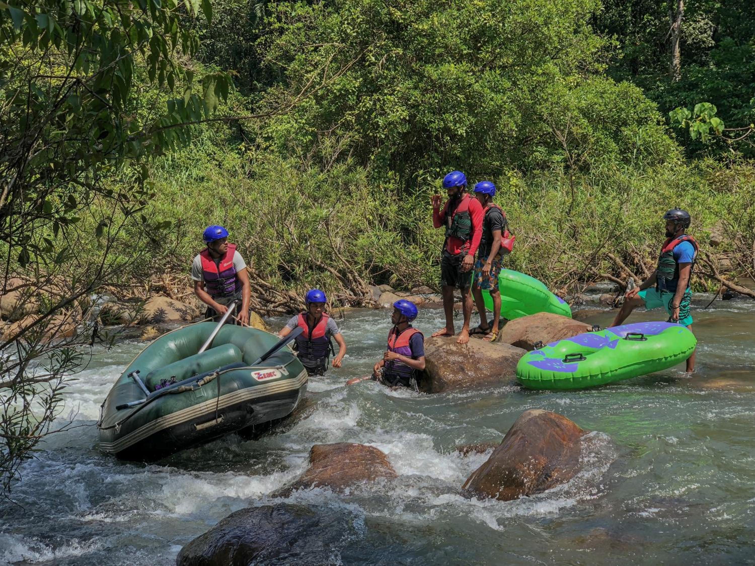 Jungle River view 5