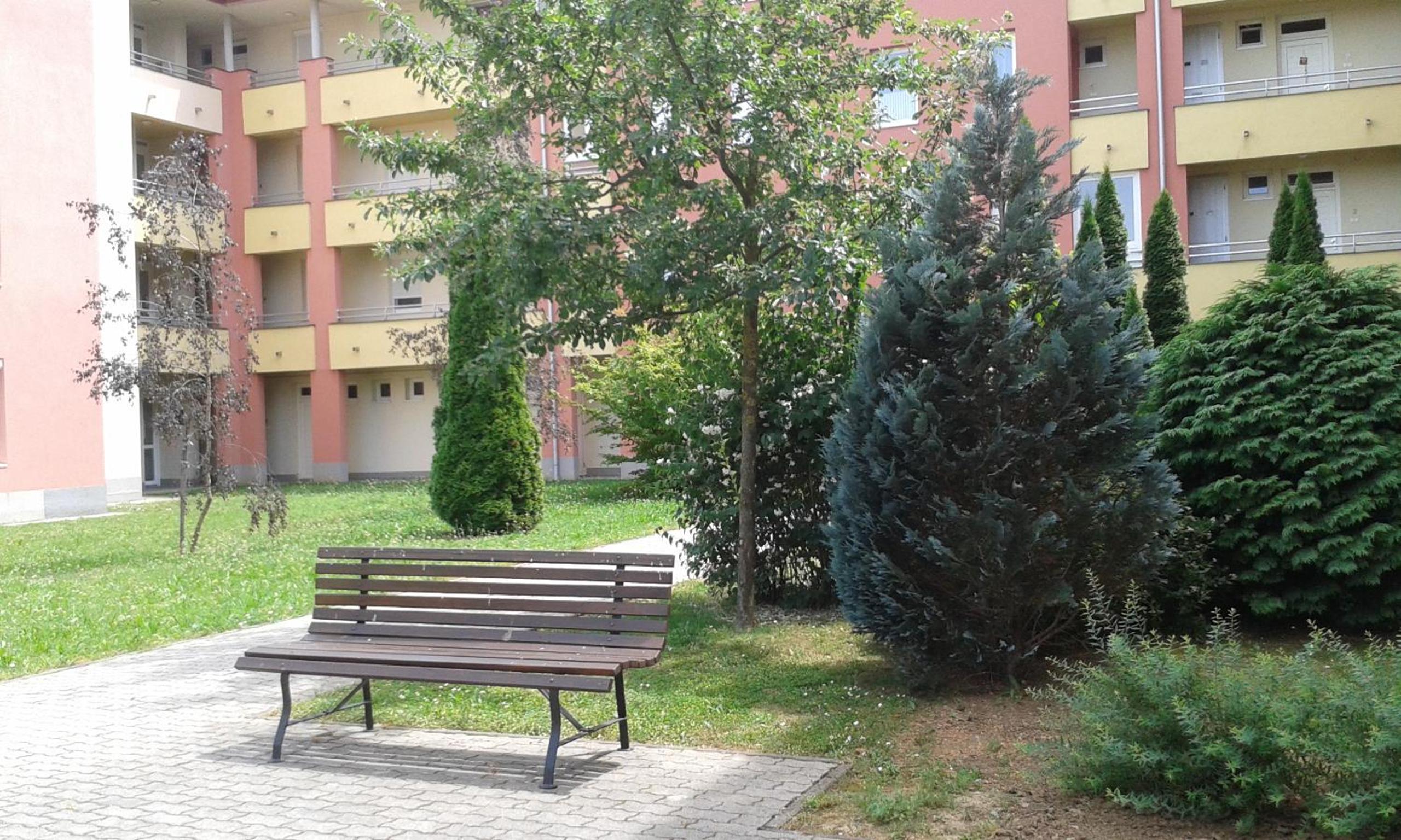 Photo 37