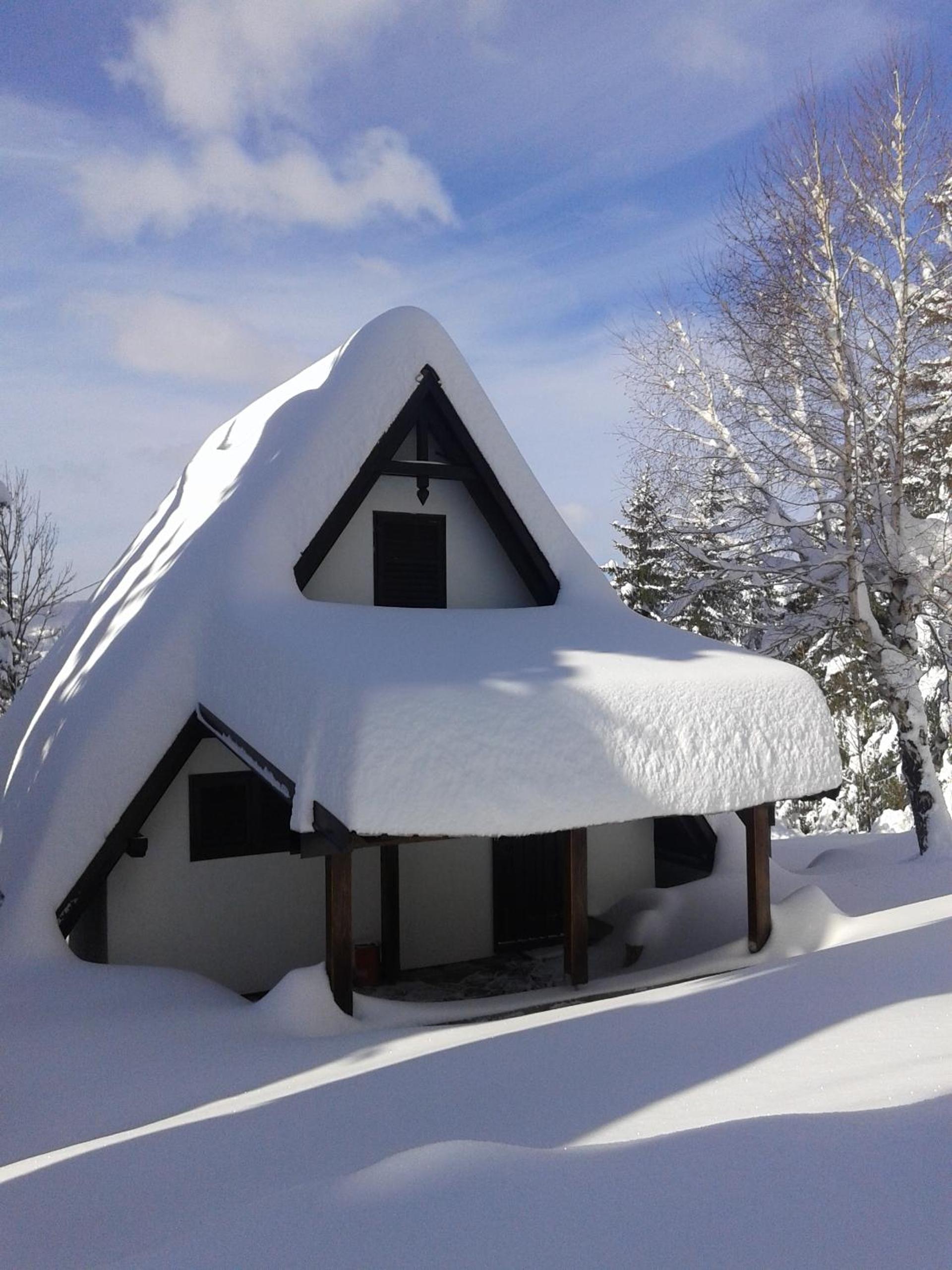 Holiday house Nature view 4