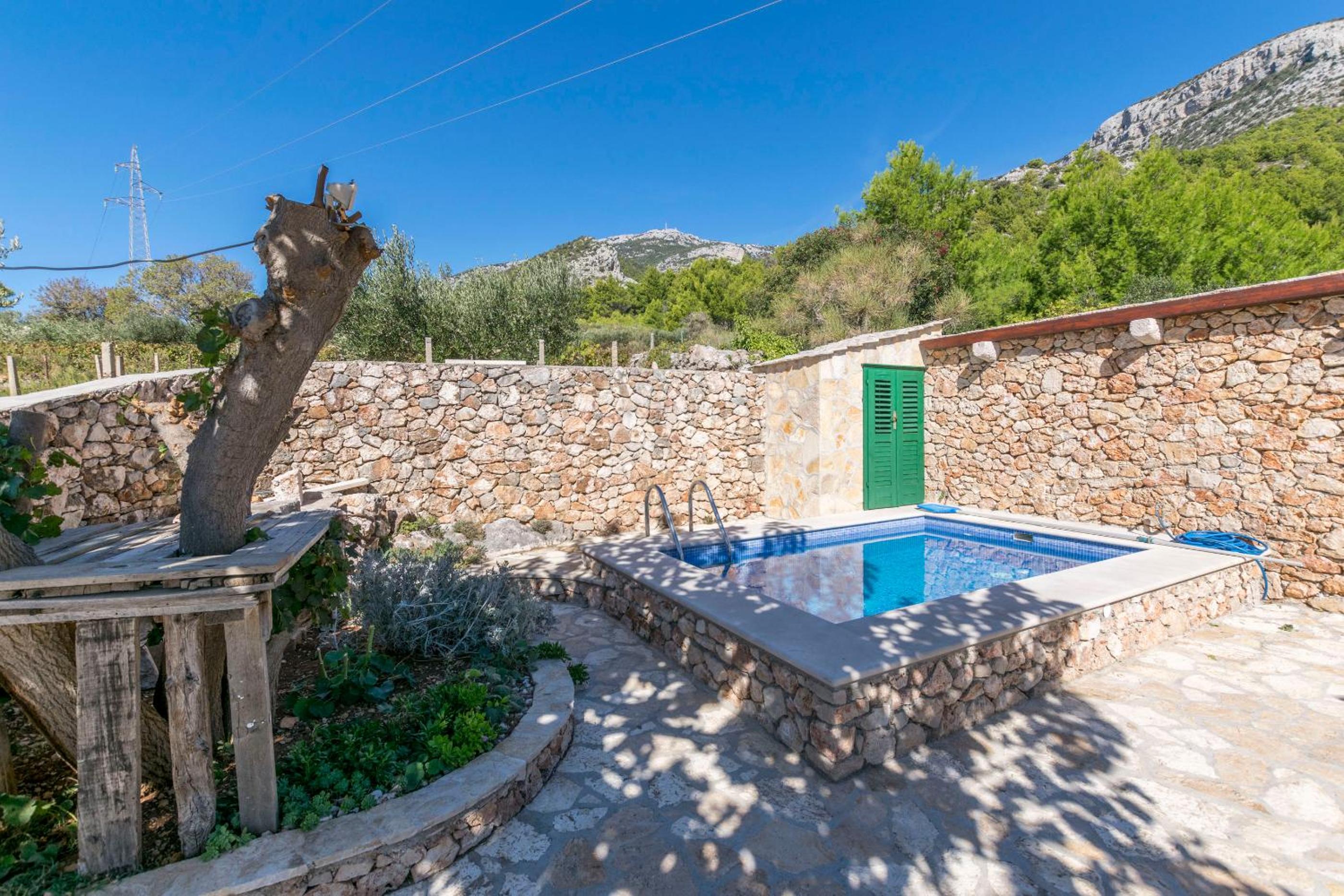 House Petric photo 3