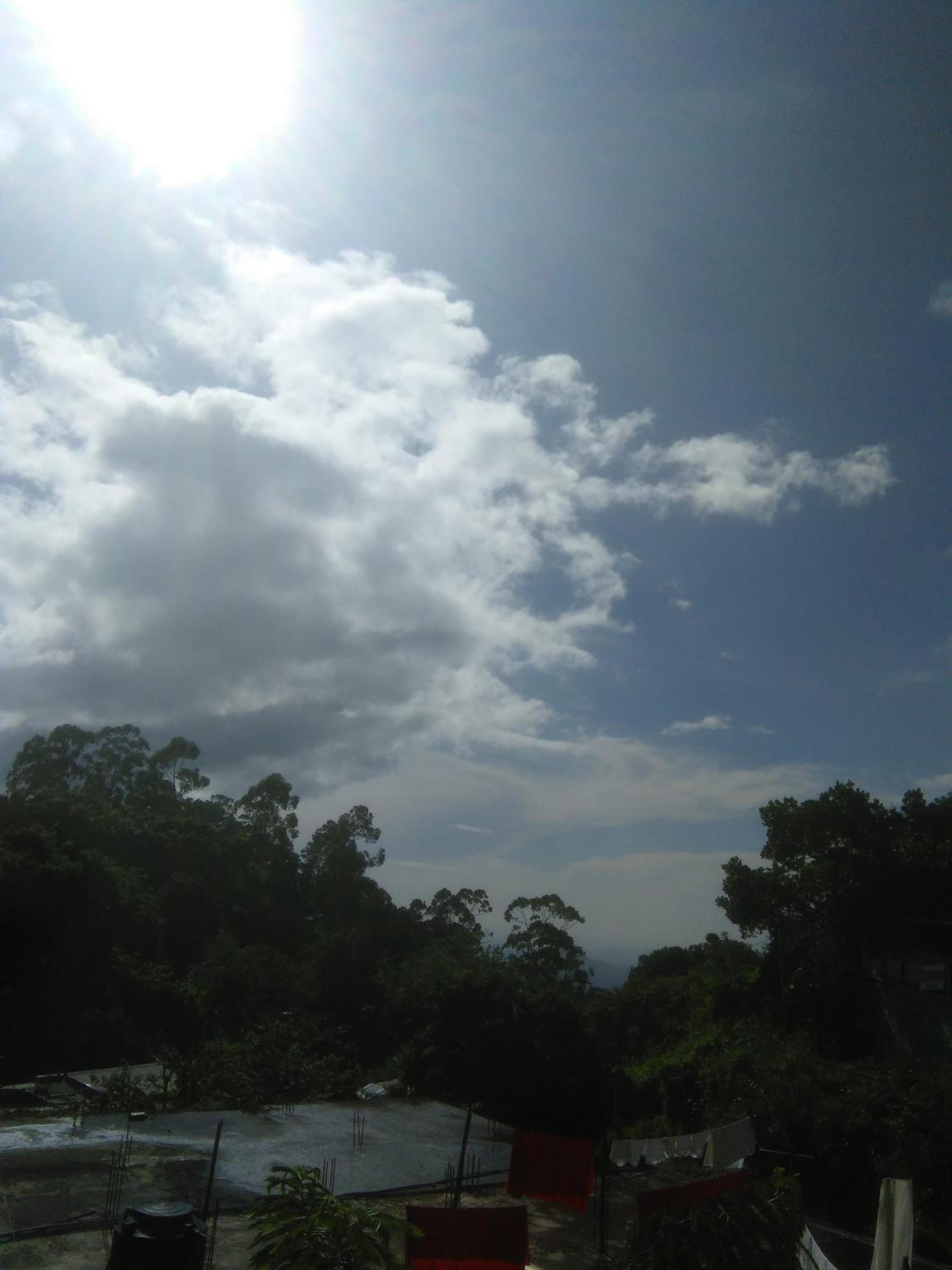 Photo 49