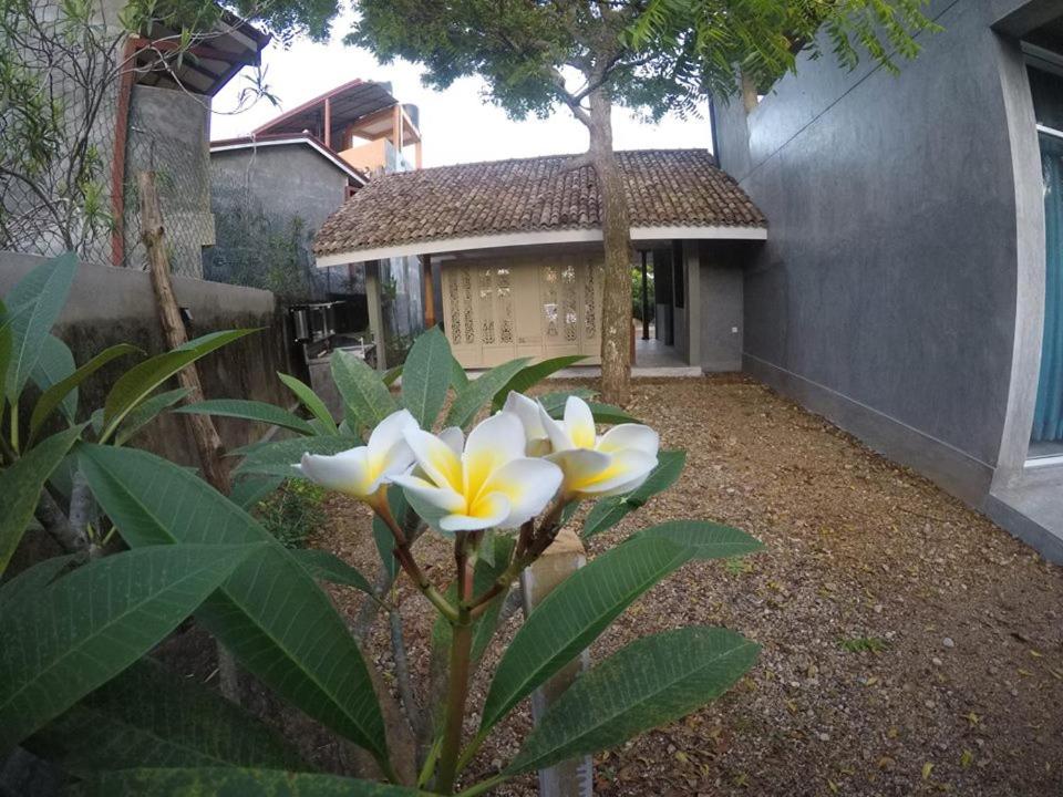 Photo 56