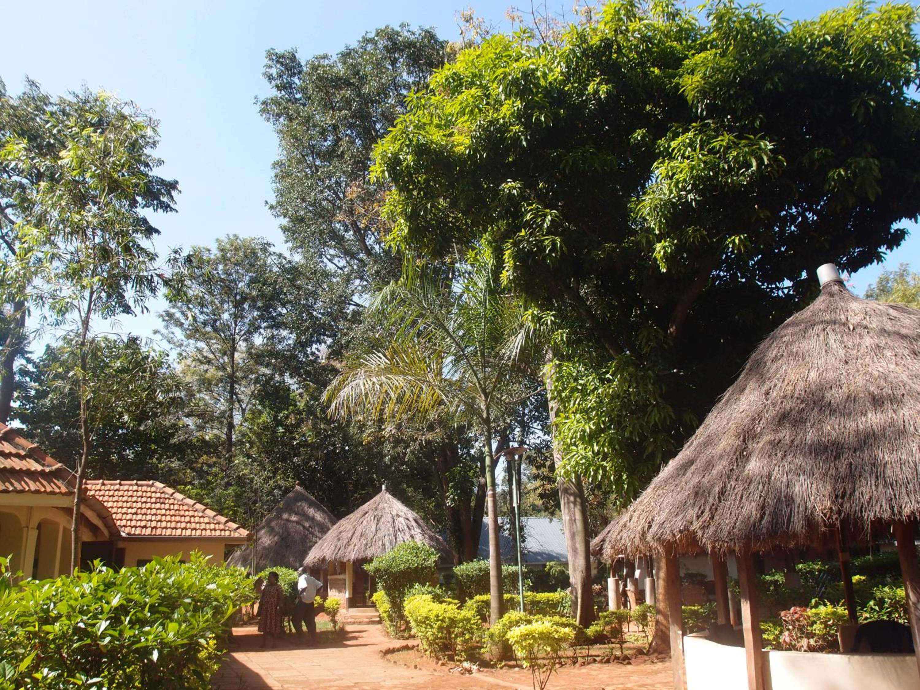 SALEM Eco-Lodge & Guesthouse view 4