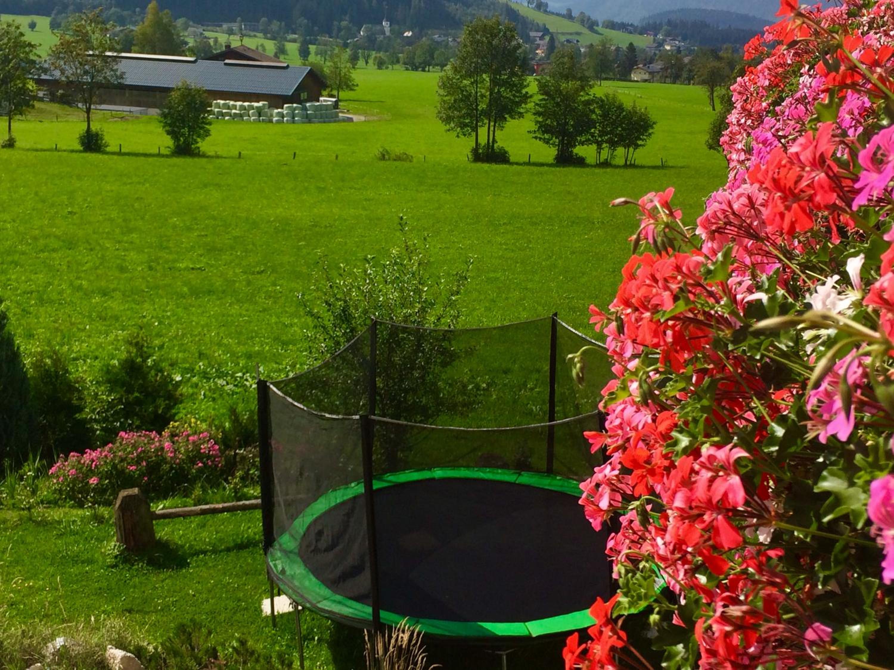 Alpen Appartements Oberlehengut - keine Haustiere - allergikerfreundlich