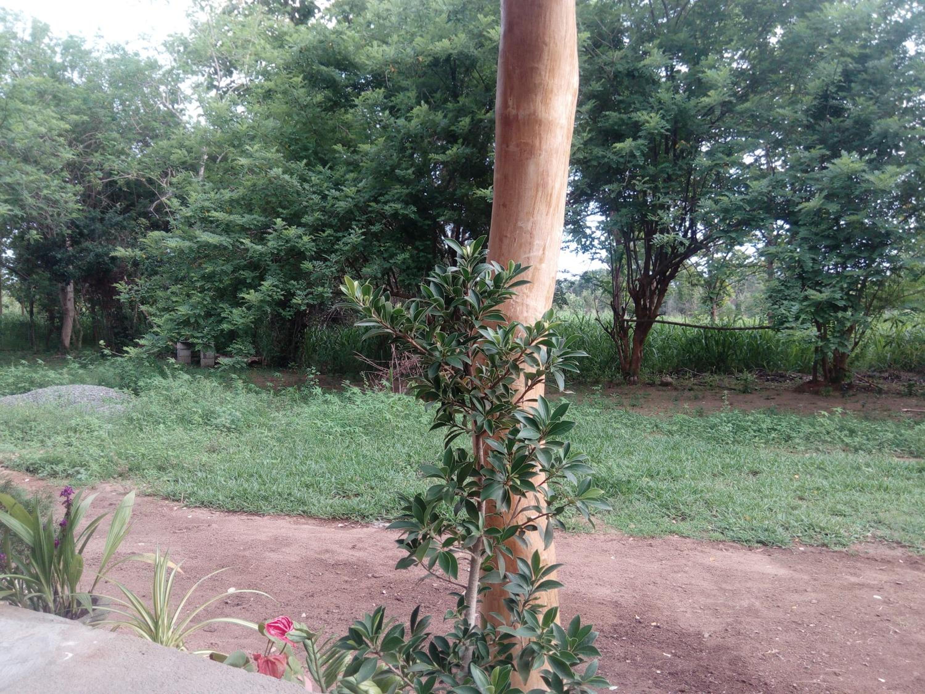 Photo 26