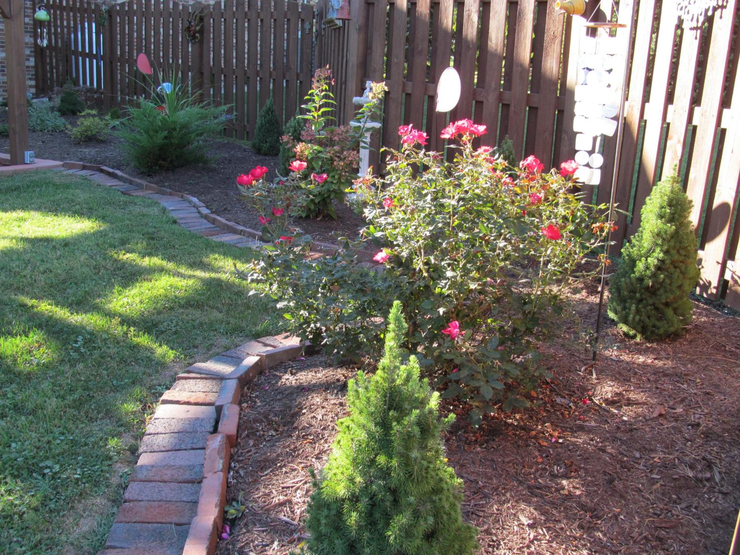 Photo 33