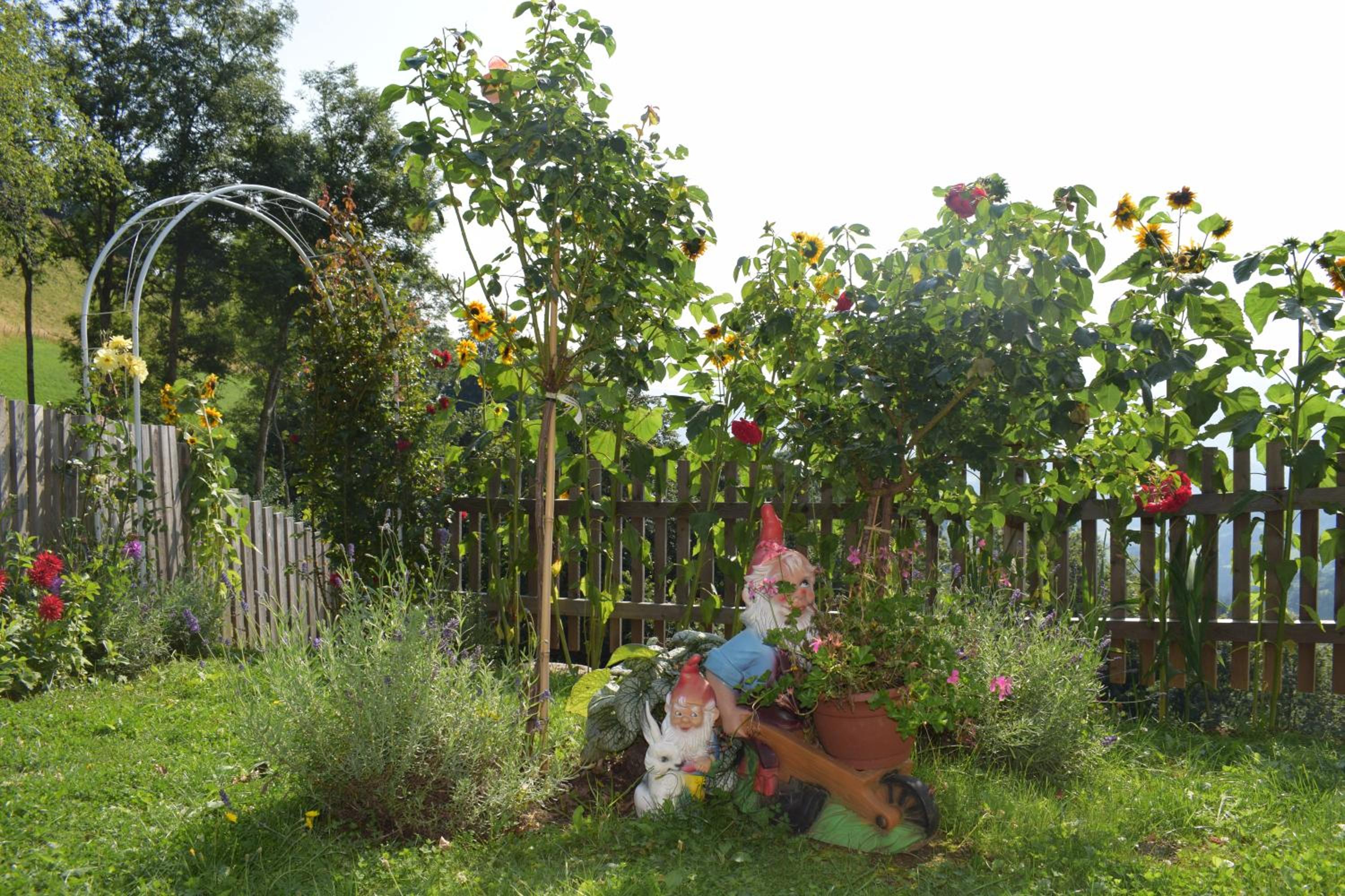 Ferienhaus Schleinzer