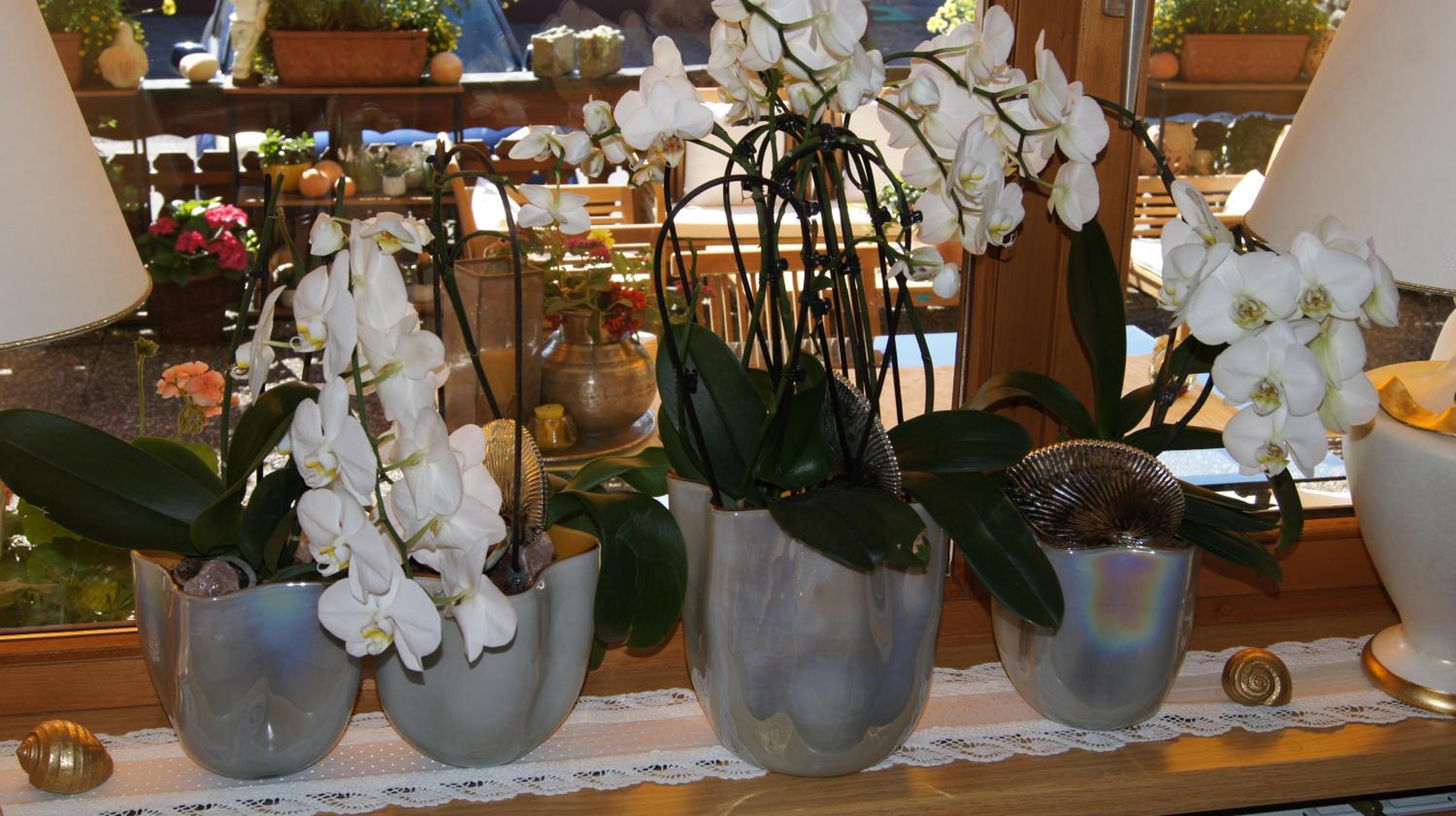 Pension Hartenfels
