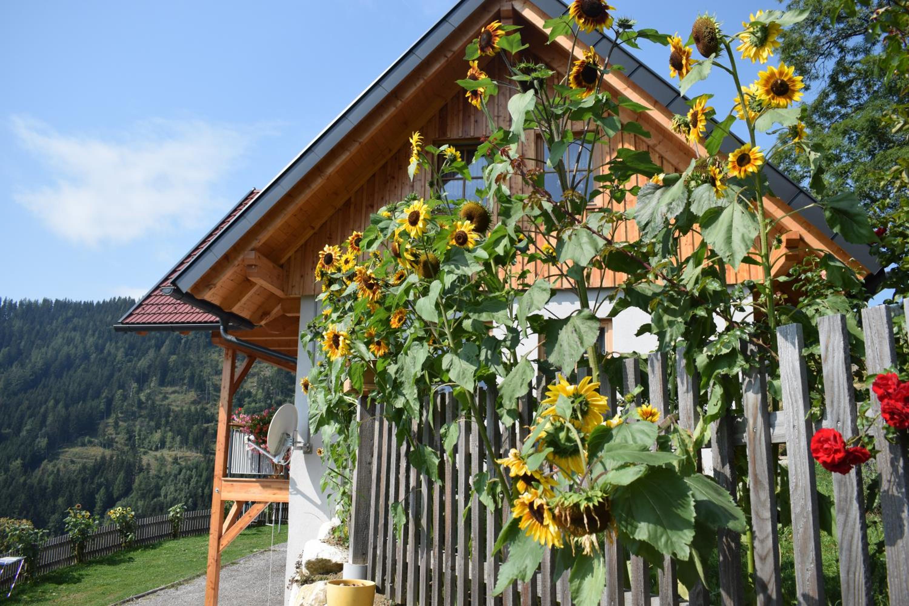 Ferienhaus Schleinzer