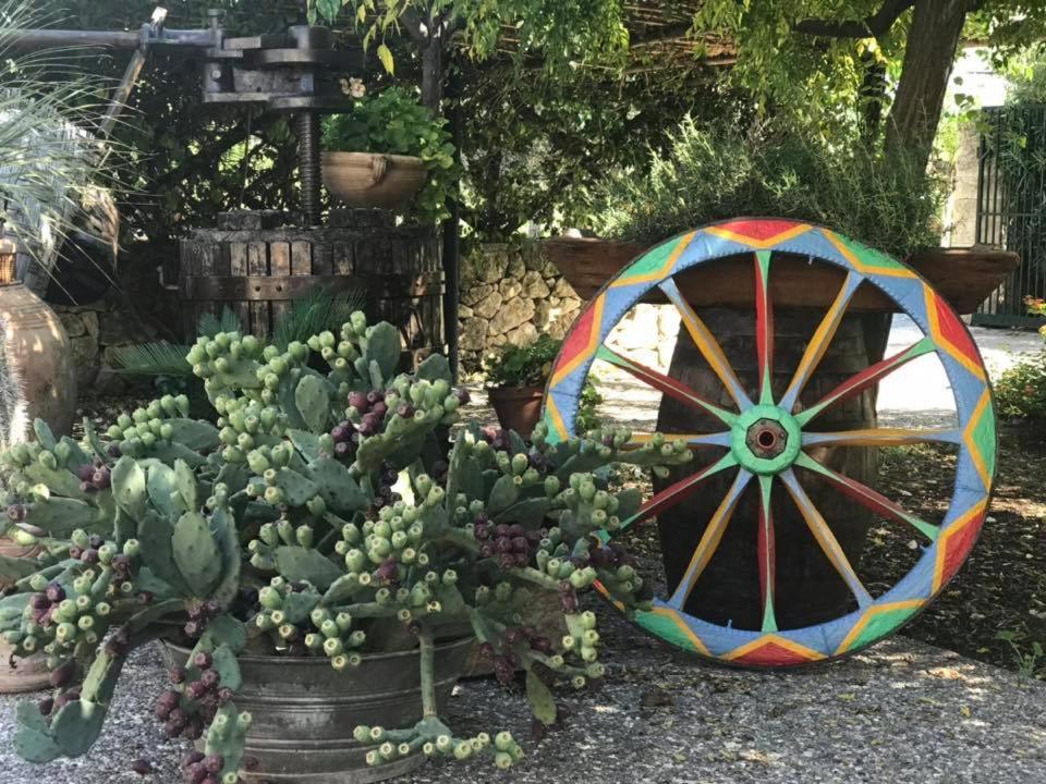 Agriturismo Papyrus