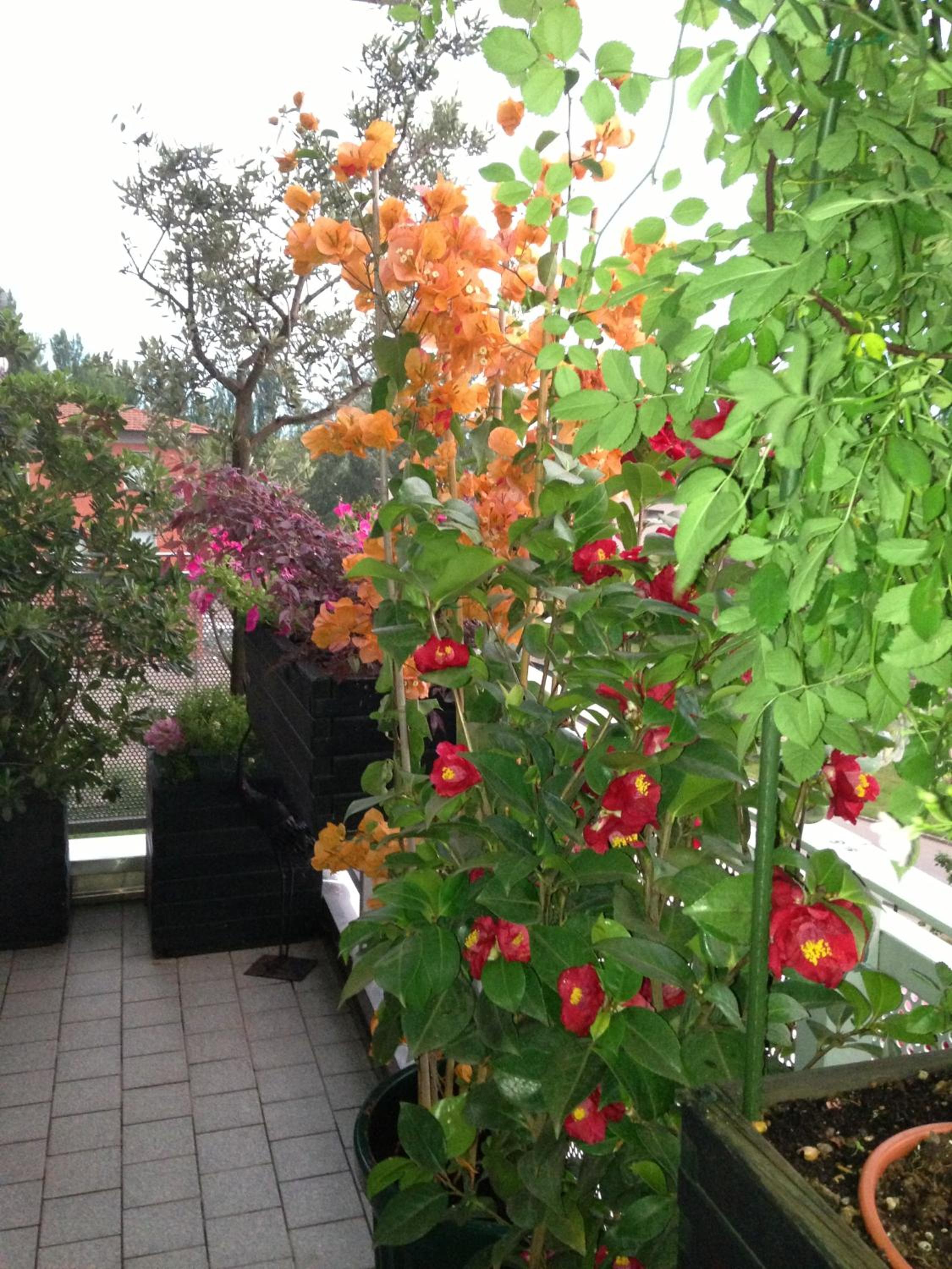 B&B Pitstop, photo 30