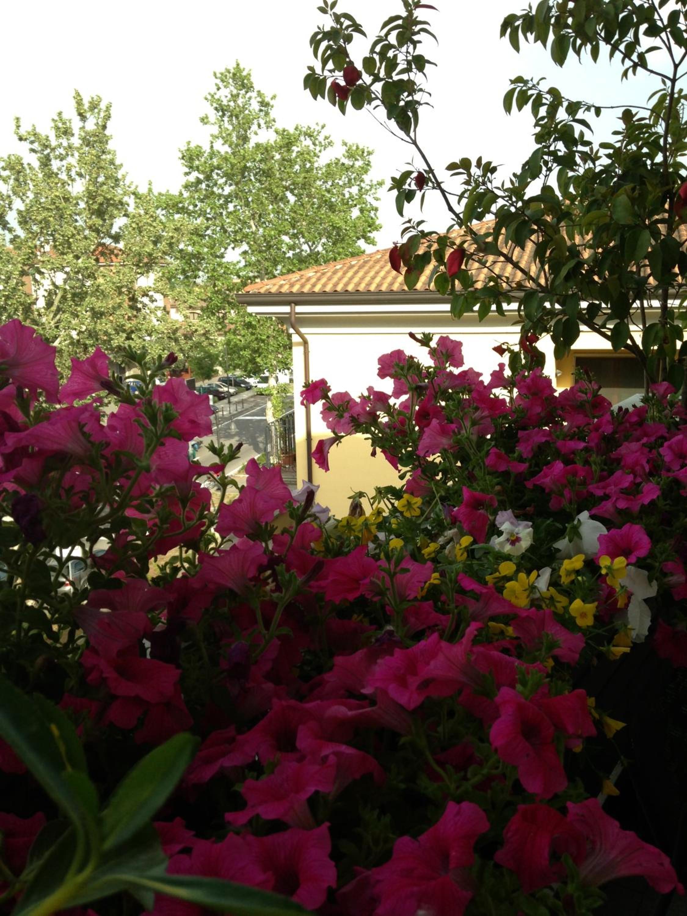 B&B Pitstop, photo 36