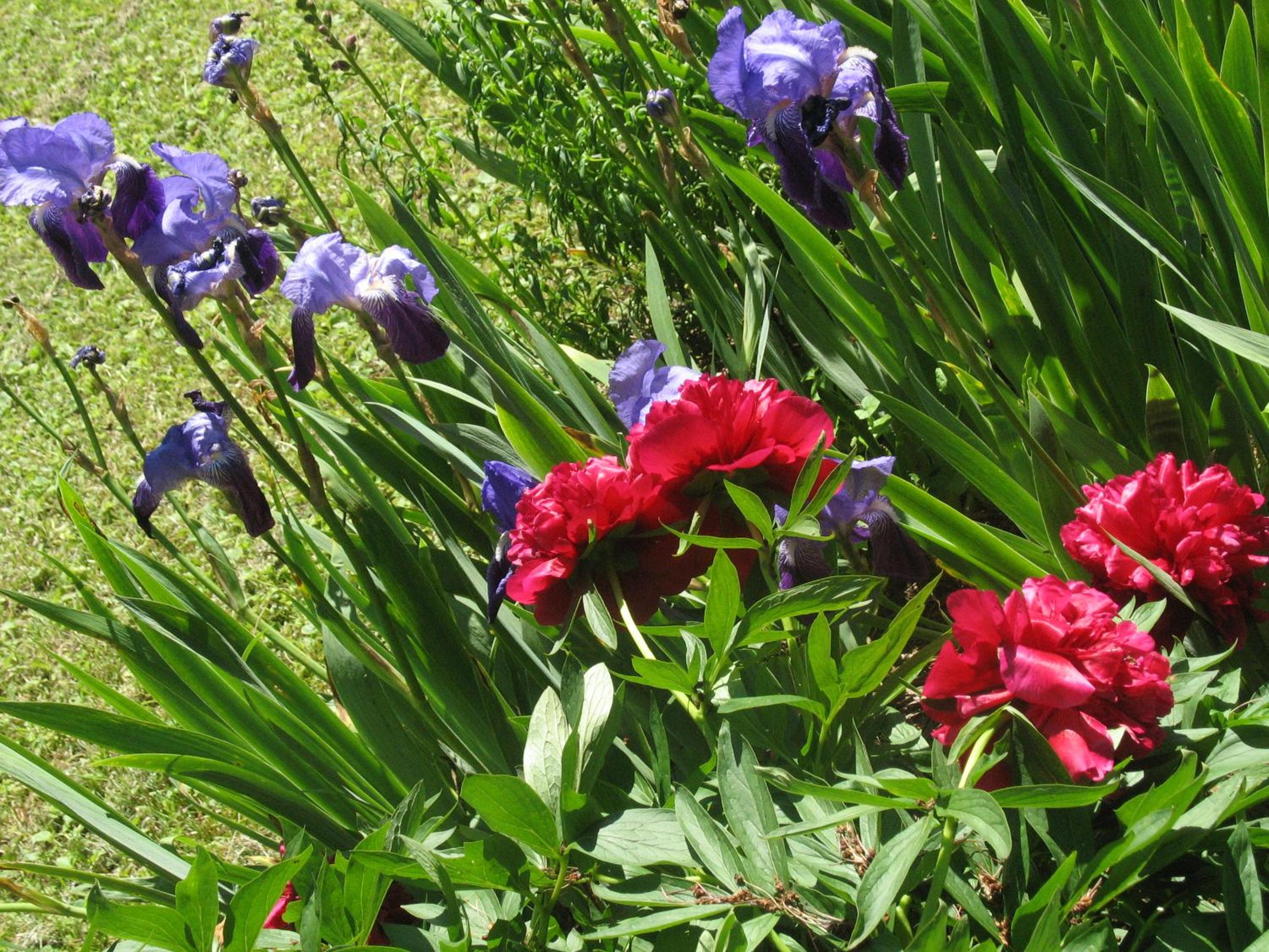 Photo 27