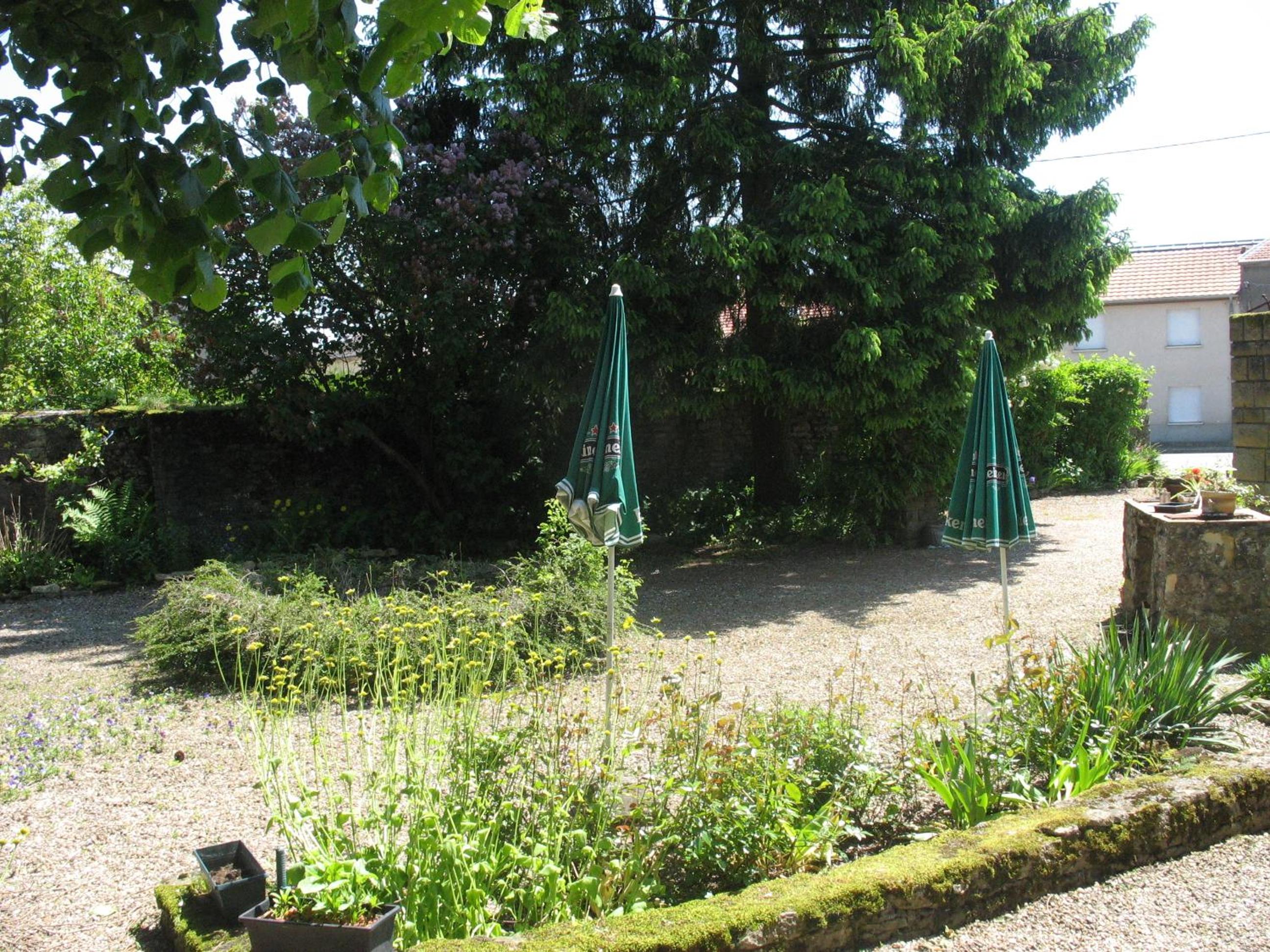 Photo 31