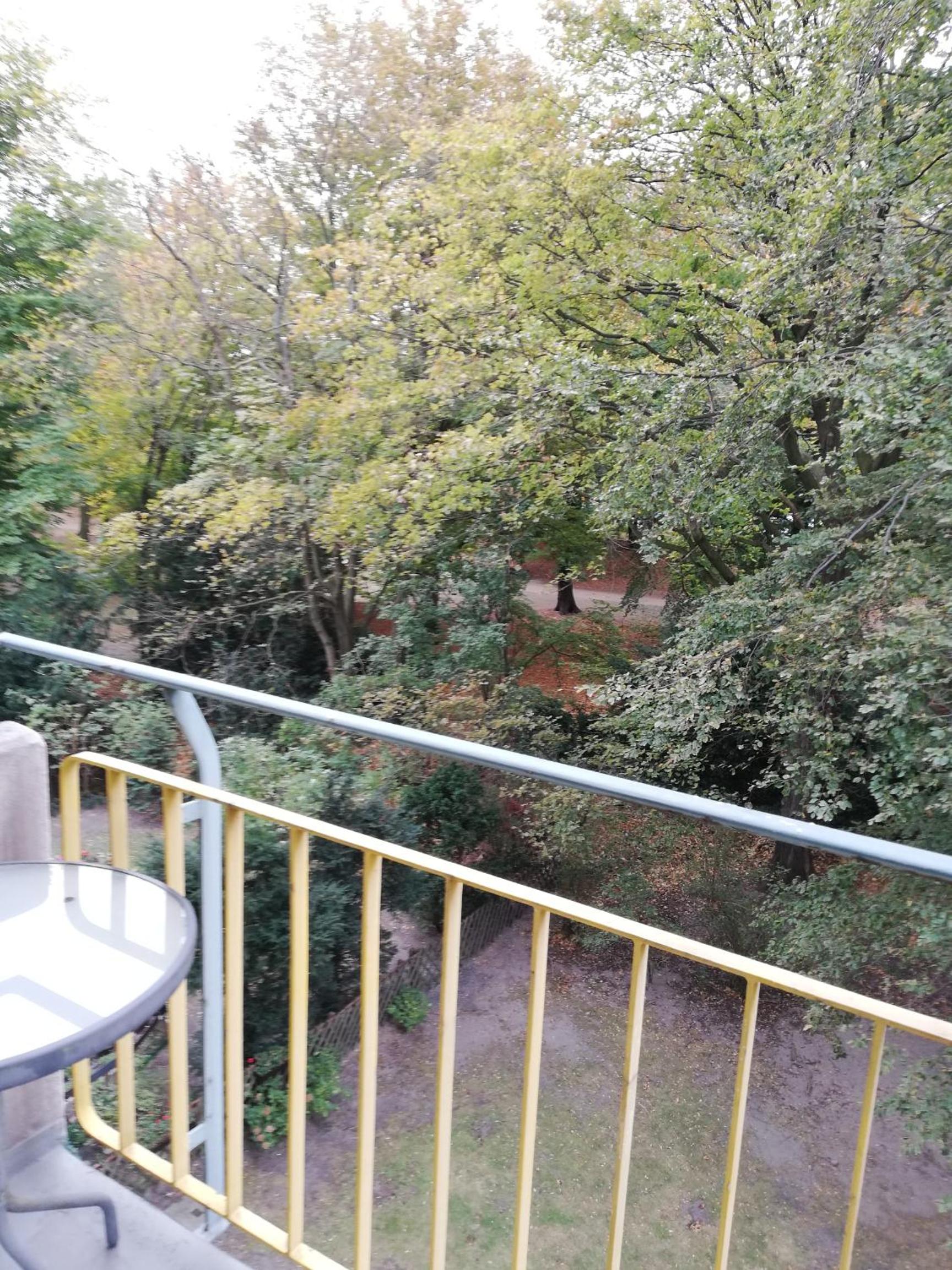 Oase im Park