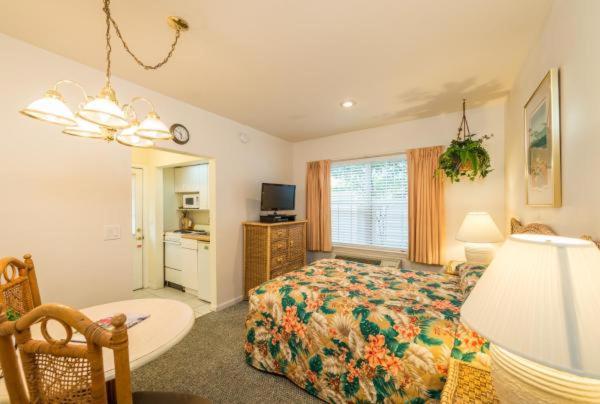 The Cozy Inn