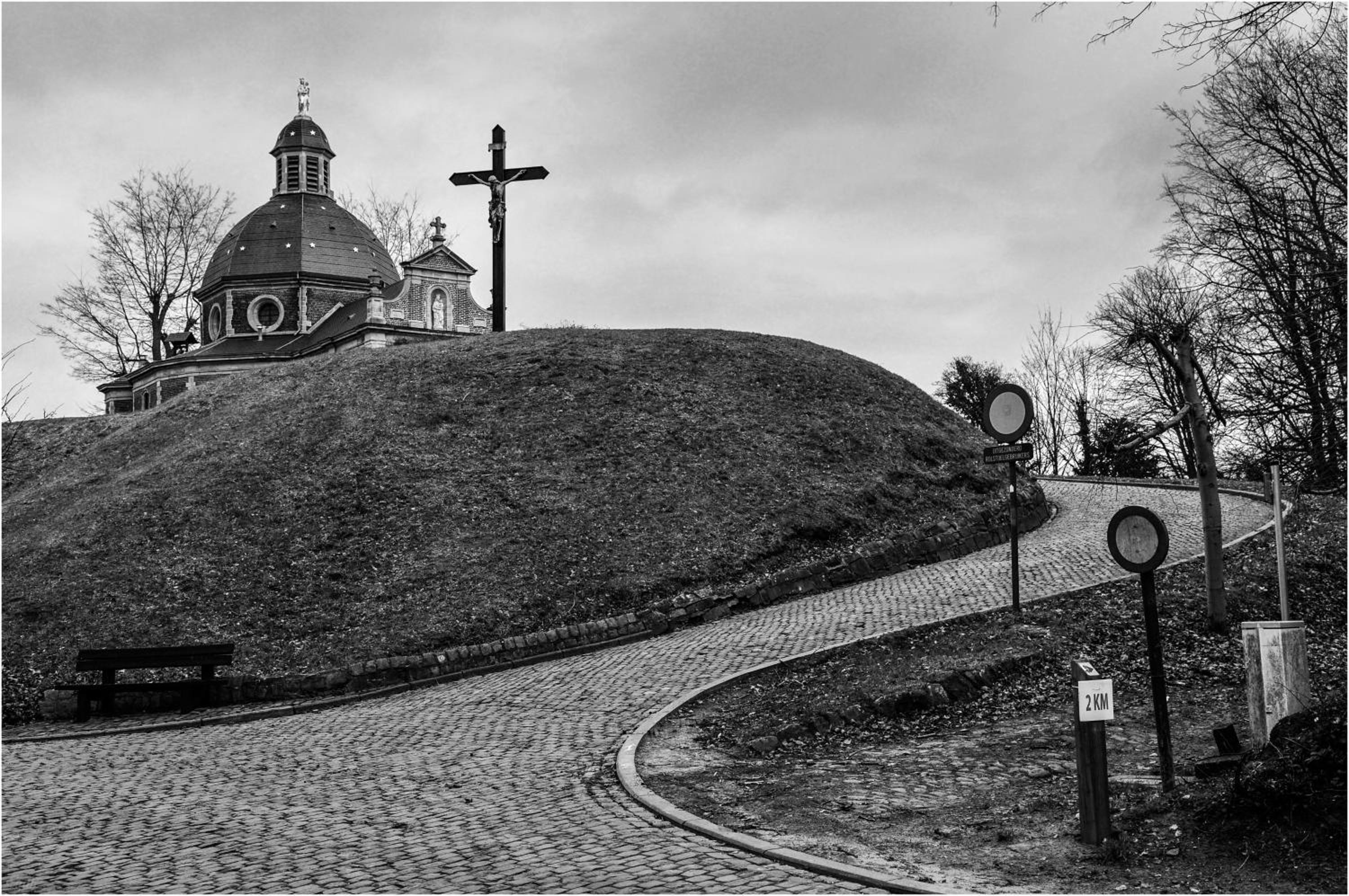 Photo 41