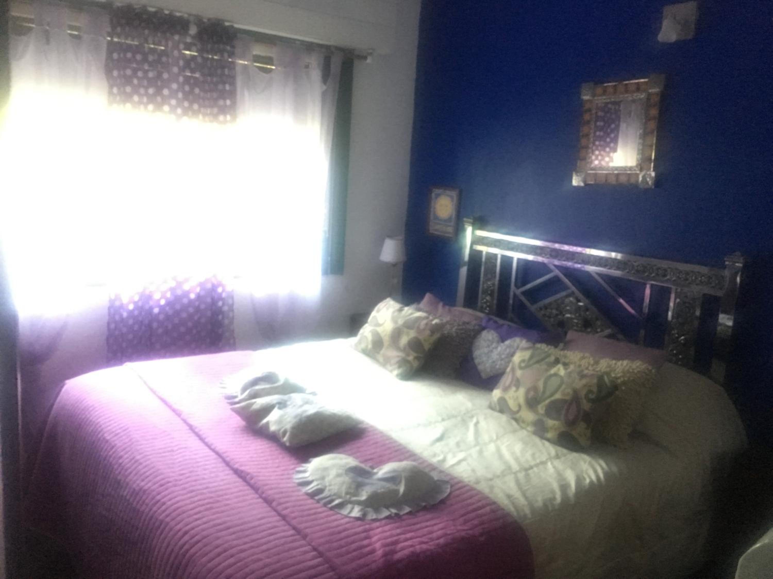 Vivi's House