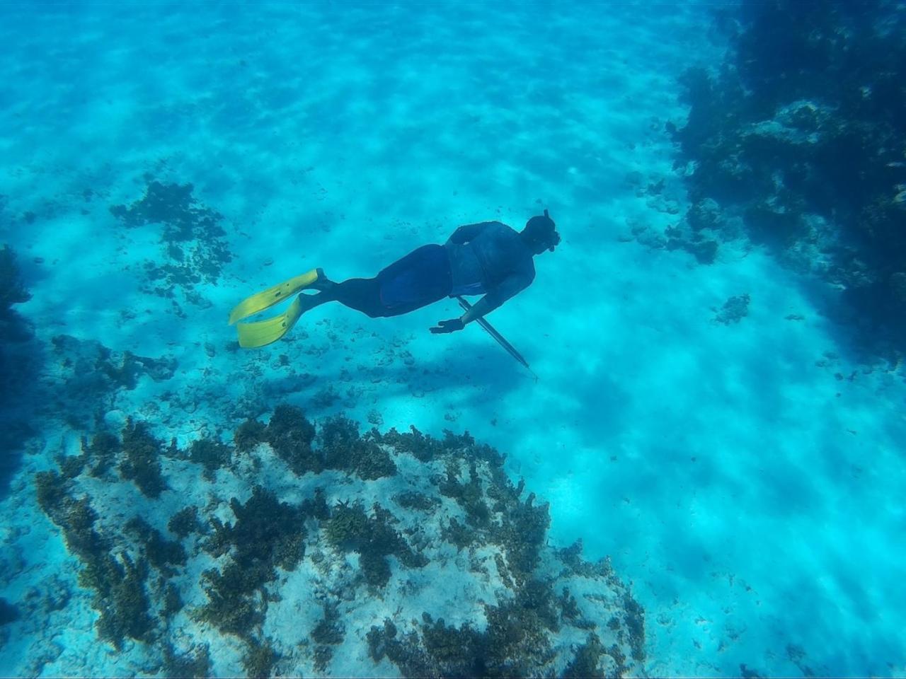Photo 42