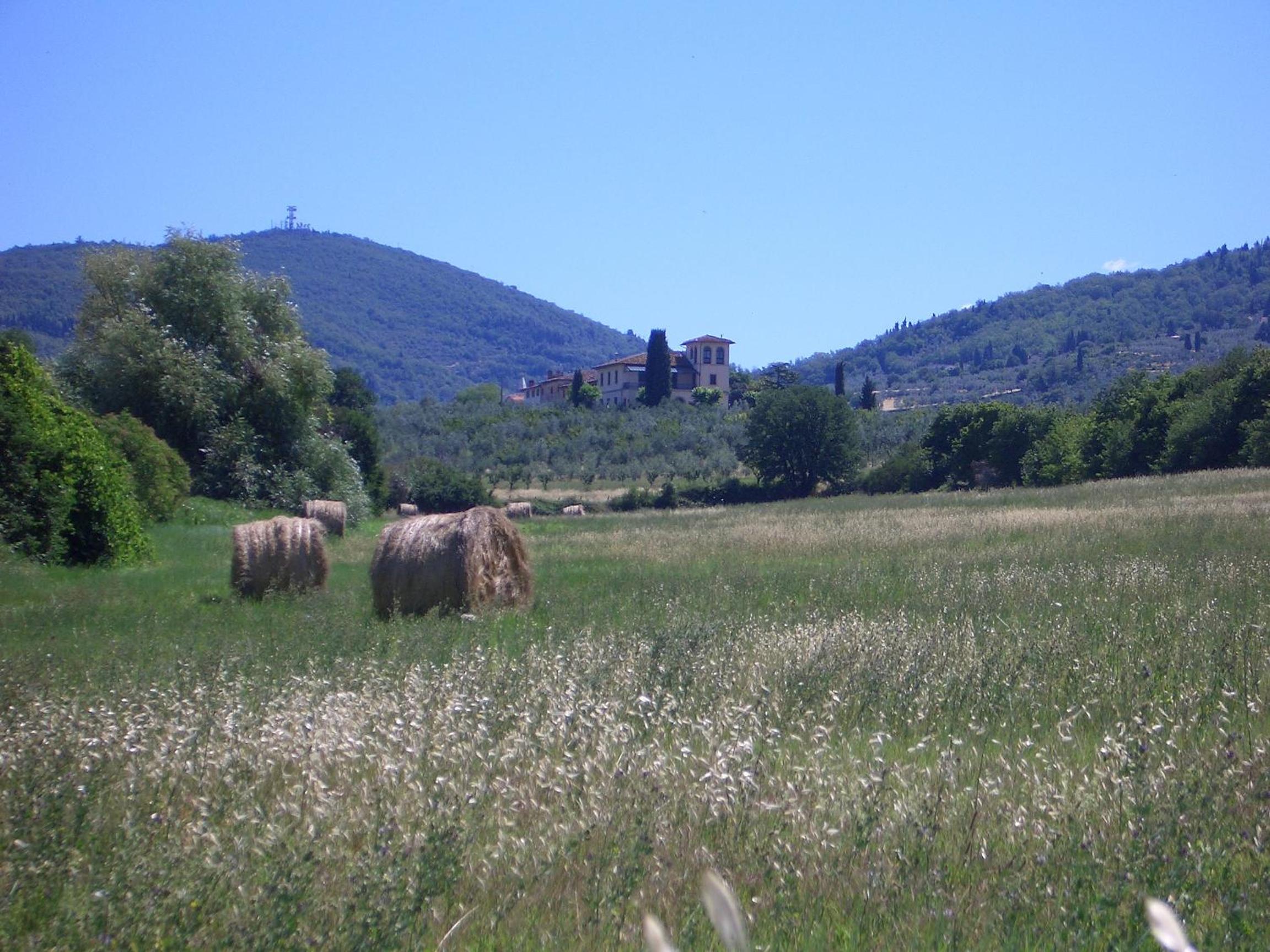 Photo 40