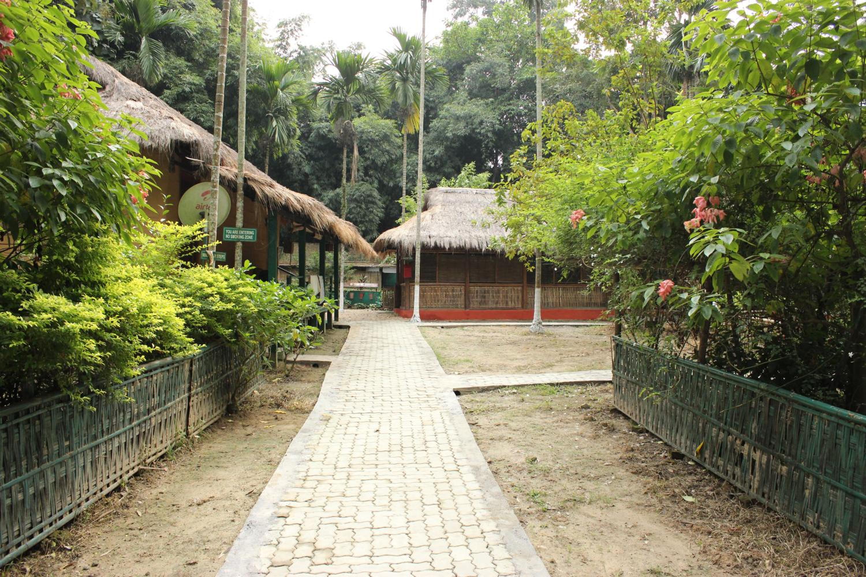 Photo 33