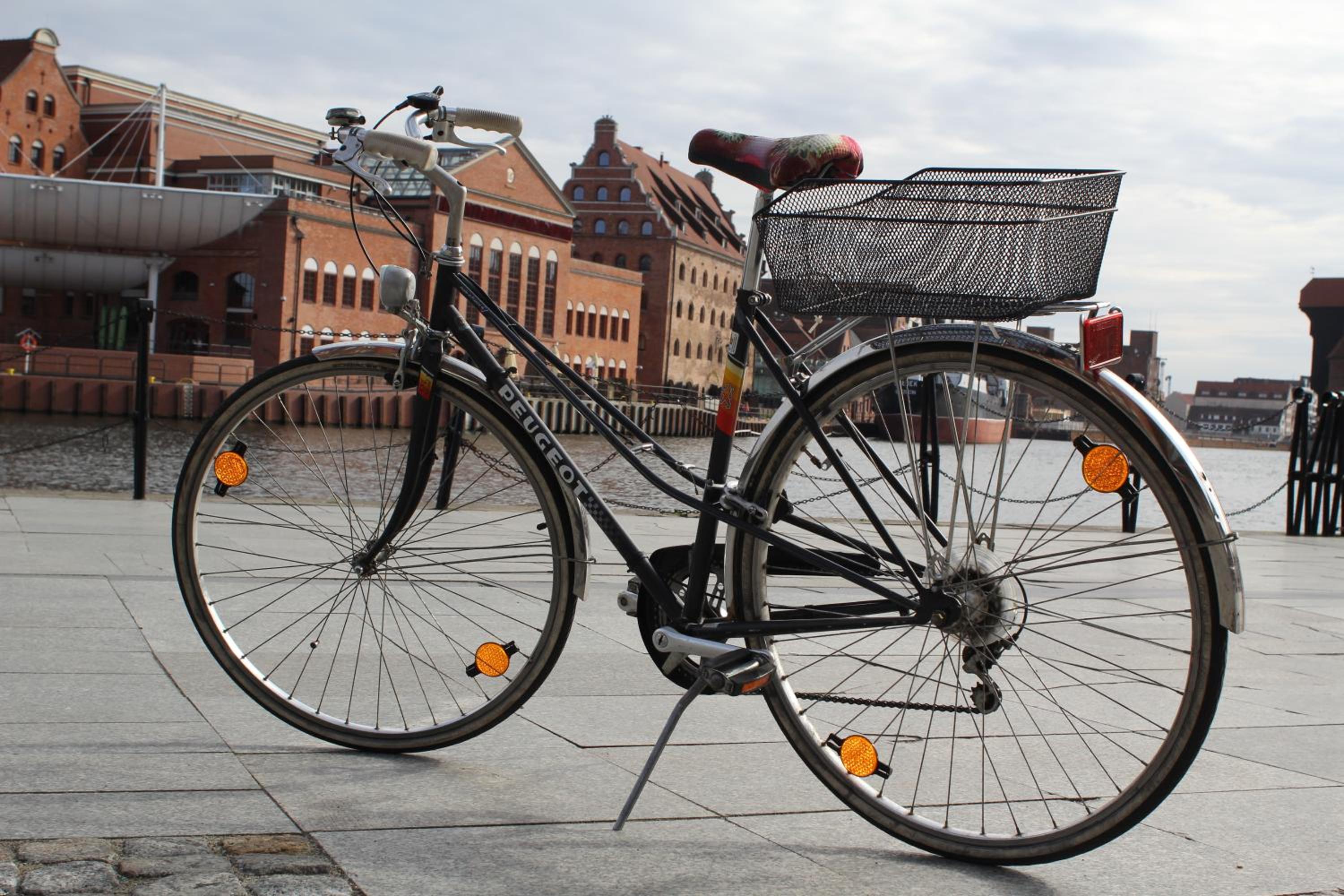 Villa Zosieńka - FREE PARKING - Blisko Forum & Stare Miasto, photo 39