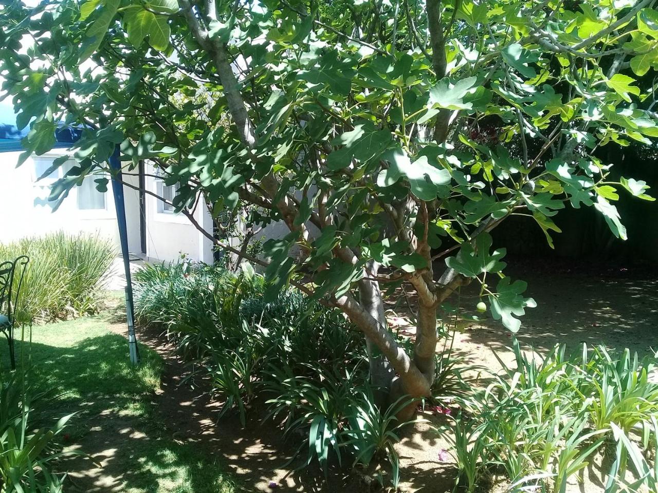 La Coscello Guest House view 2