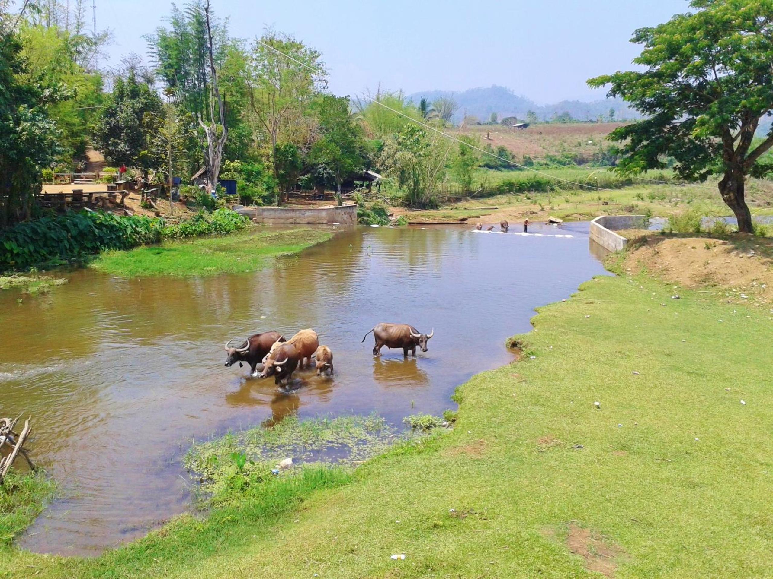 Huan Chiang Dao Resort