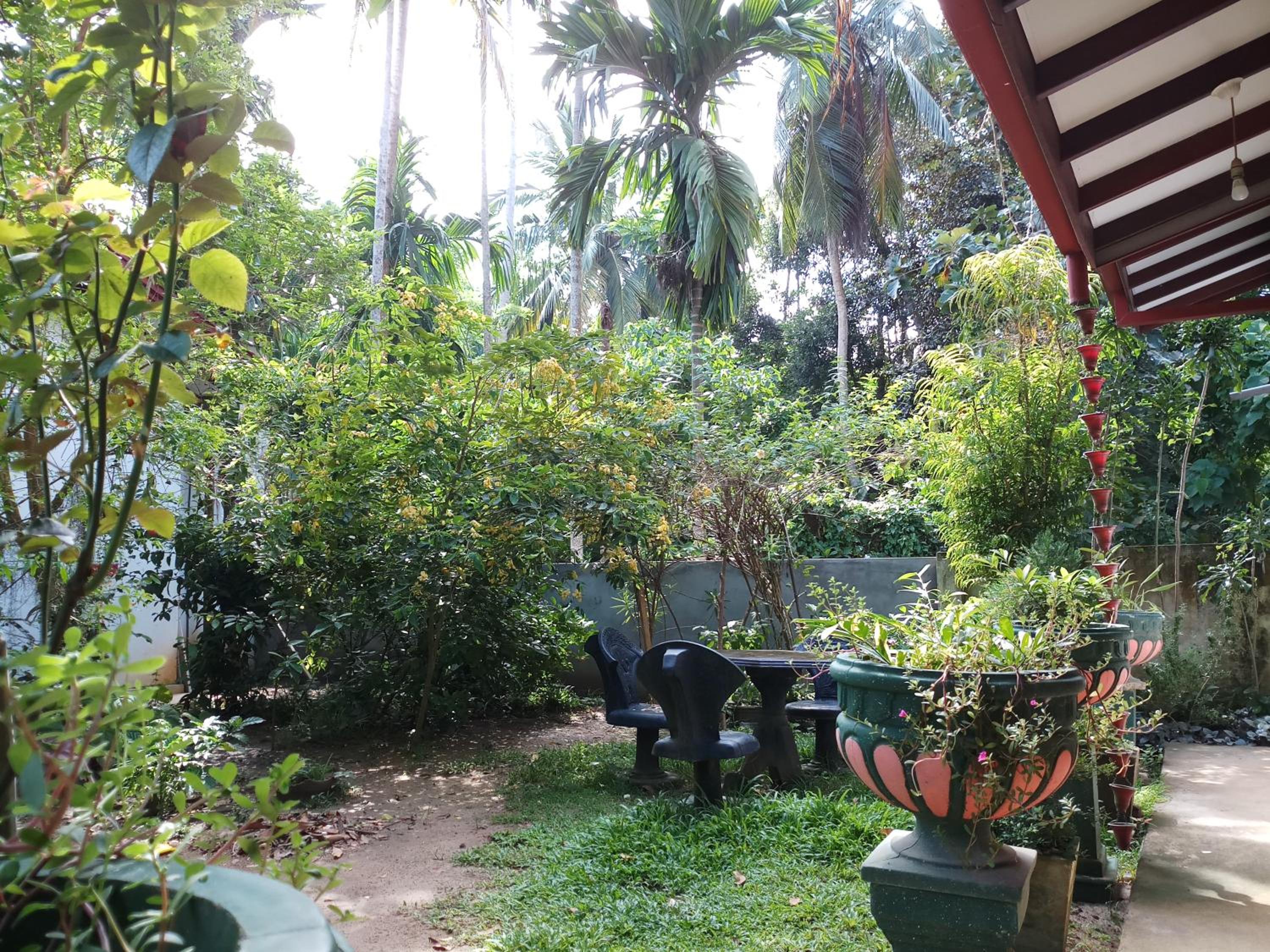 Piumi House