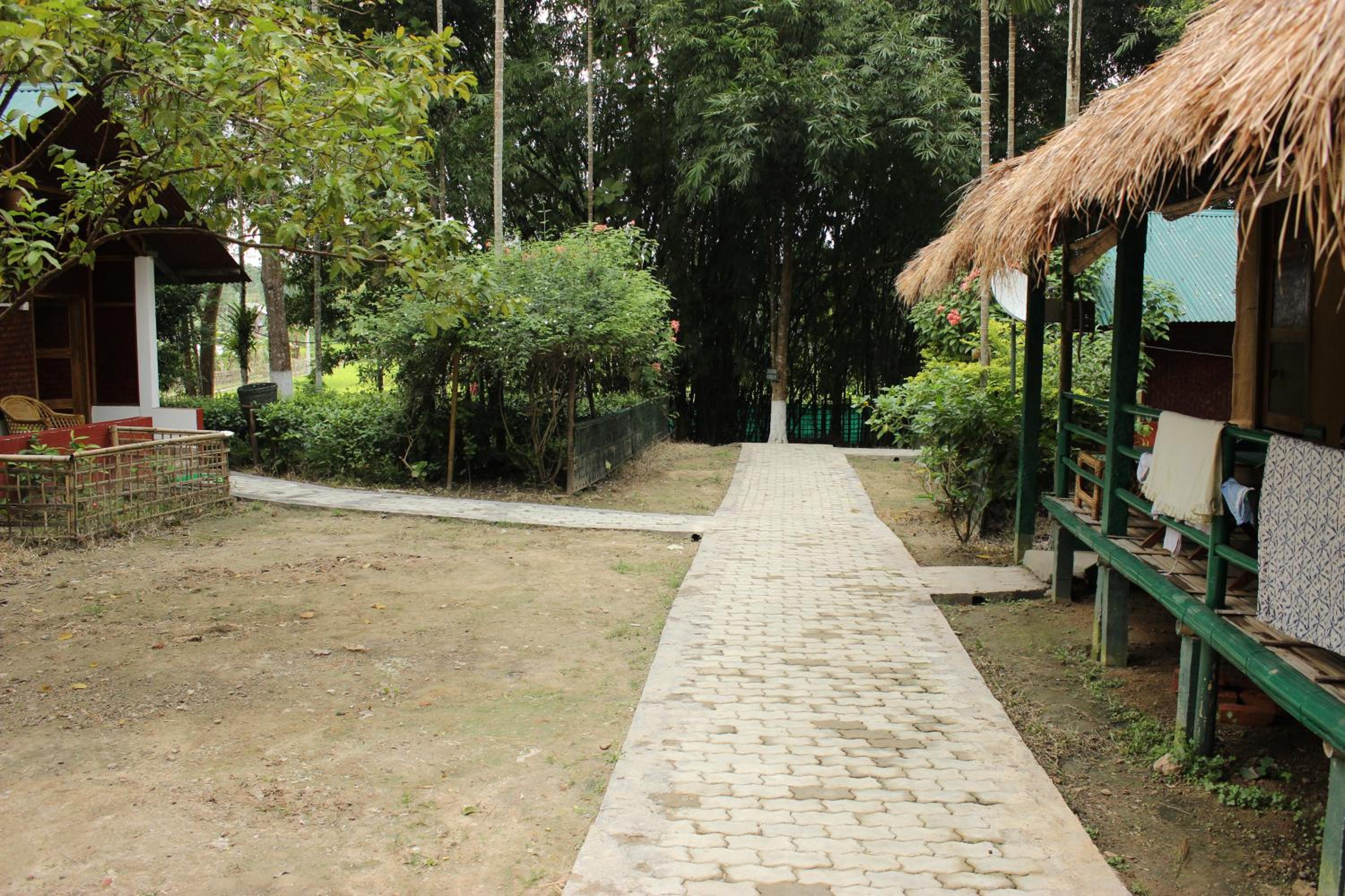 Photo 22